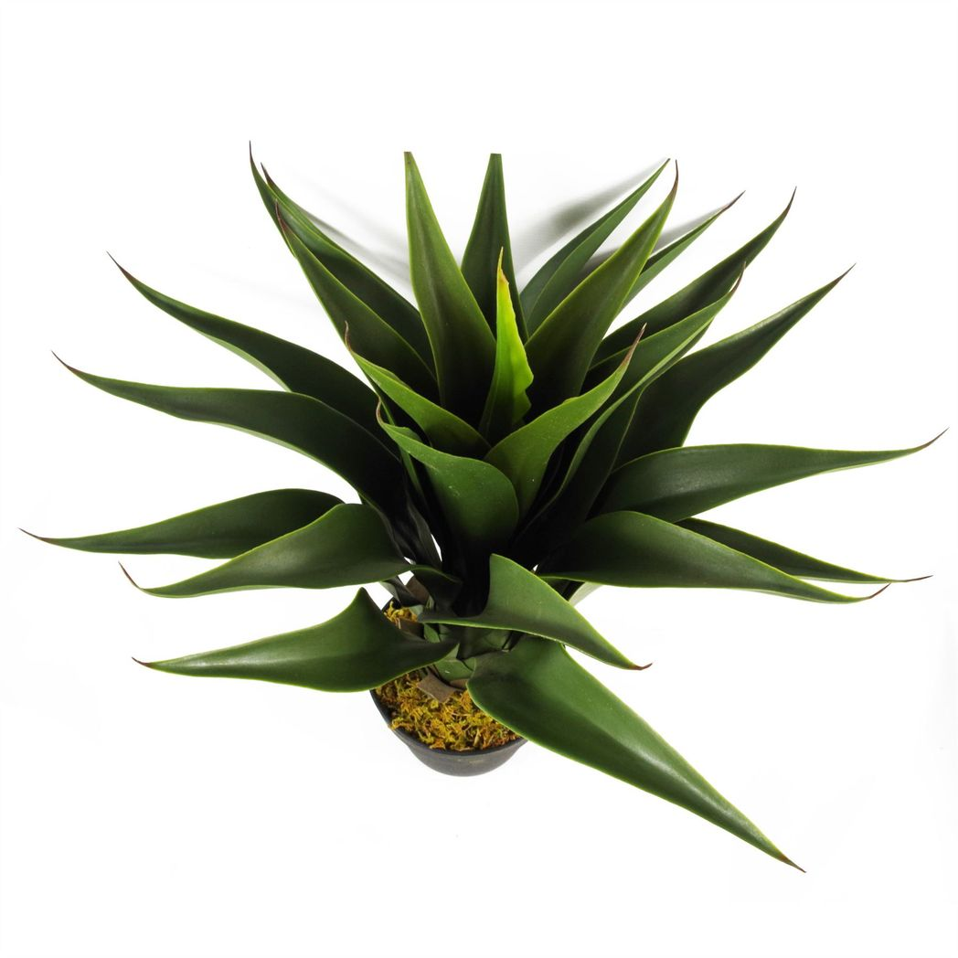 Leaf 55cm Artificial Yucca Plant in Plastic Pot