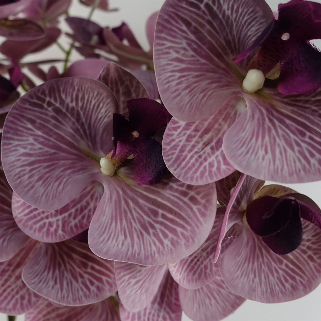 Leaf Pack of 6 Purple Phalaenopsis Orchid Artificial Flower Stems, 100cm Tall, 42 Flowers