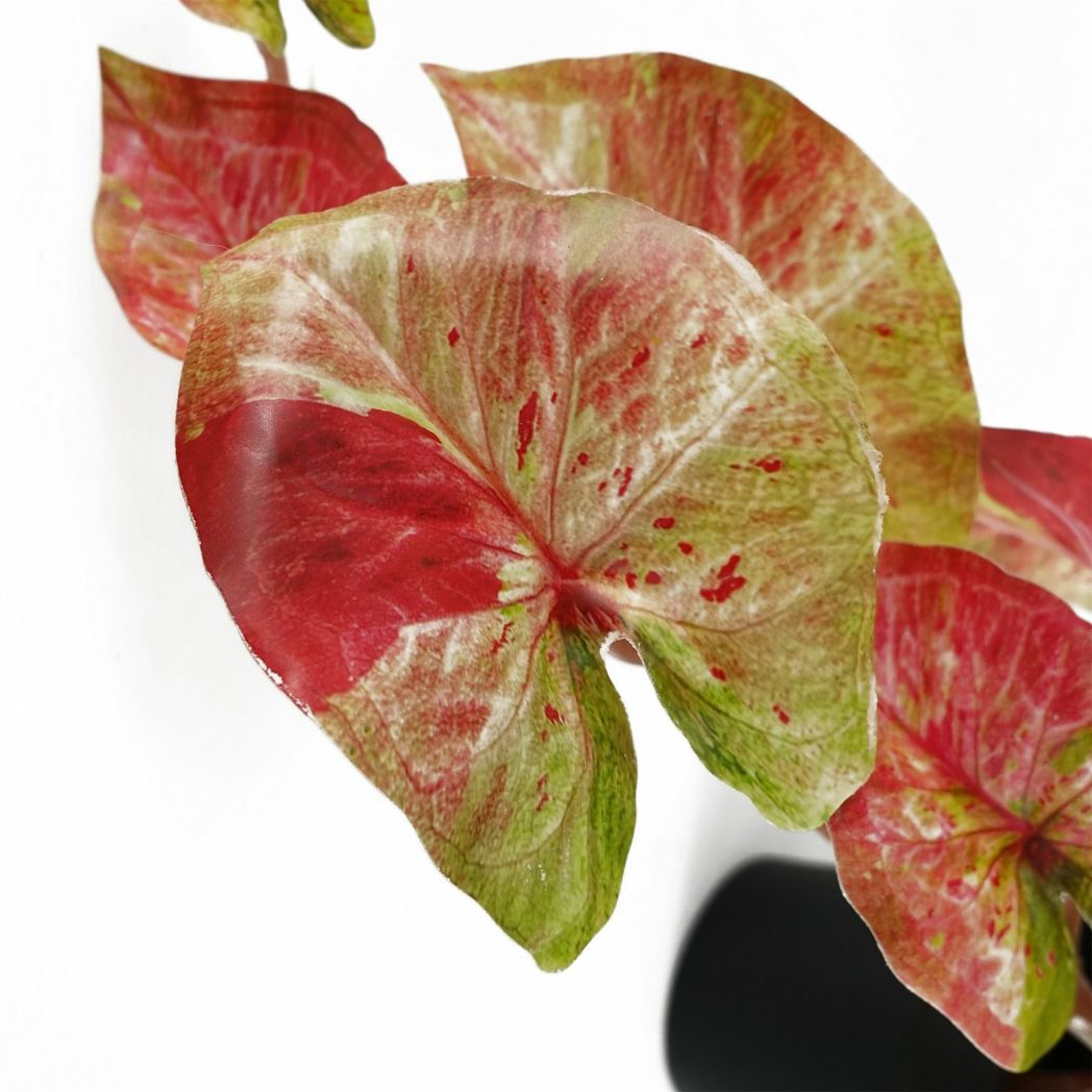 Leaf Artificial Trailing Hanging Alocasia Plant in Black Pot 35cm