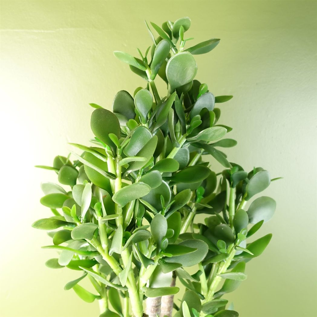 Leaf Artificial Deluxe 75cm Green Jade Plant in Weighted Plastic Pot