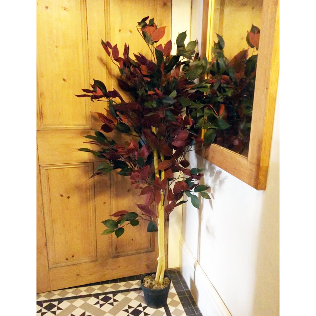 120cm Artificial Capensia Style Tree with Red and Green Foliage and Weighted Plastic Pot
