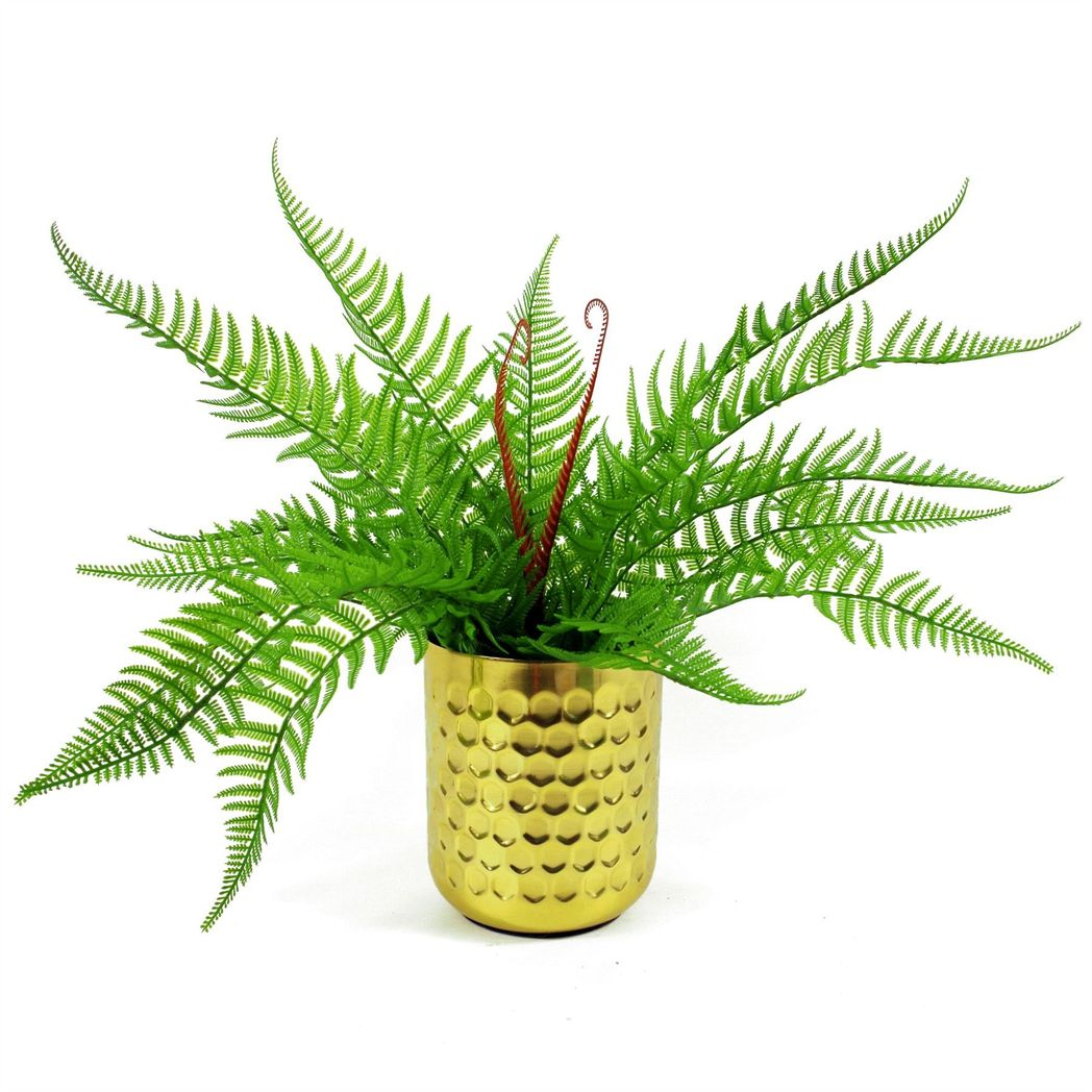 Leaf 60cm Artificial Bushy Dixie Wood Fern Dark Green Bare Stem Plant