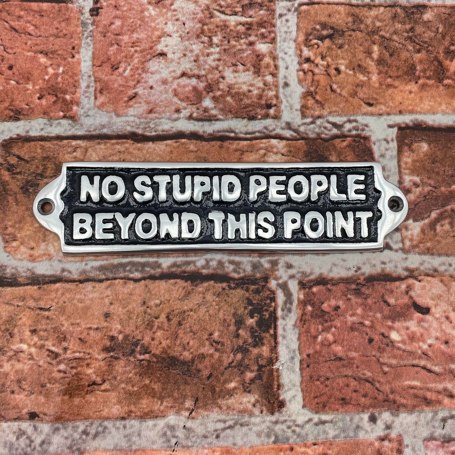 MSL 20cm Aluminium No Stupid People Sign, Small Slim Hand Finished Wall Decor, Pre-Drilled Holes