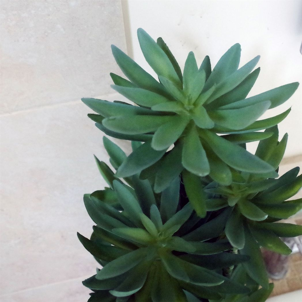 Leaf 60cm Artificial Tropical Yukka Palm in Decorative Planter
