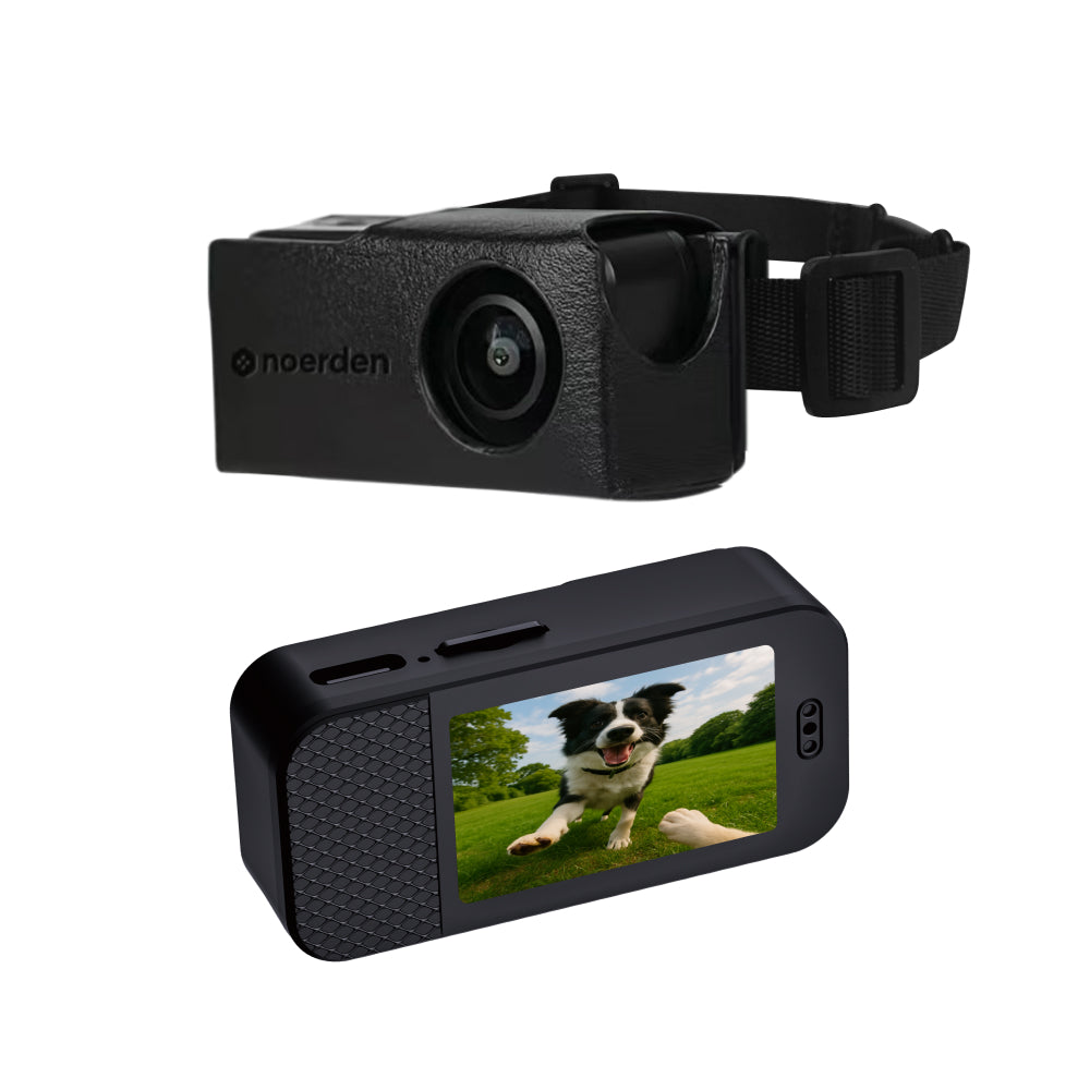 PetPOV (HD Camera Collar)