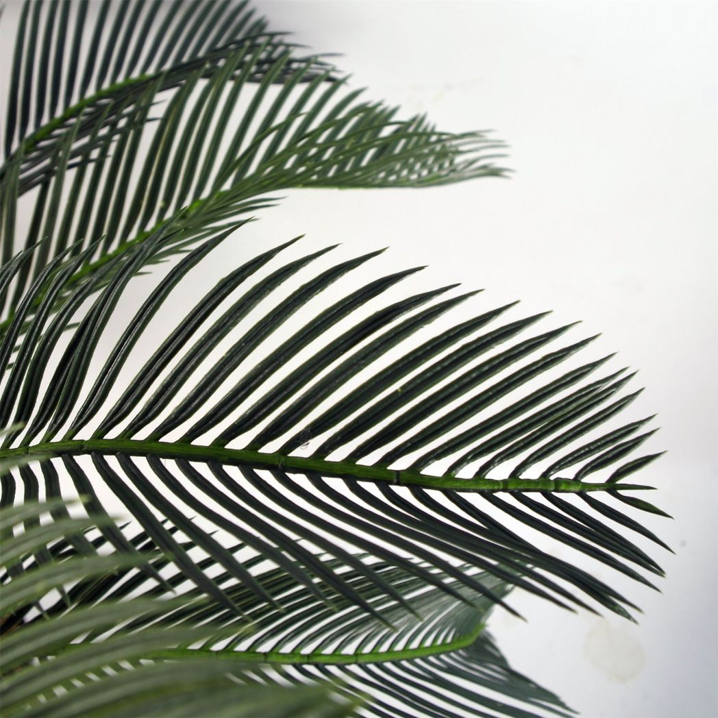 Leaf 80cm Artificial Cycas Palm Tree