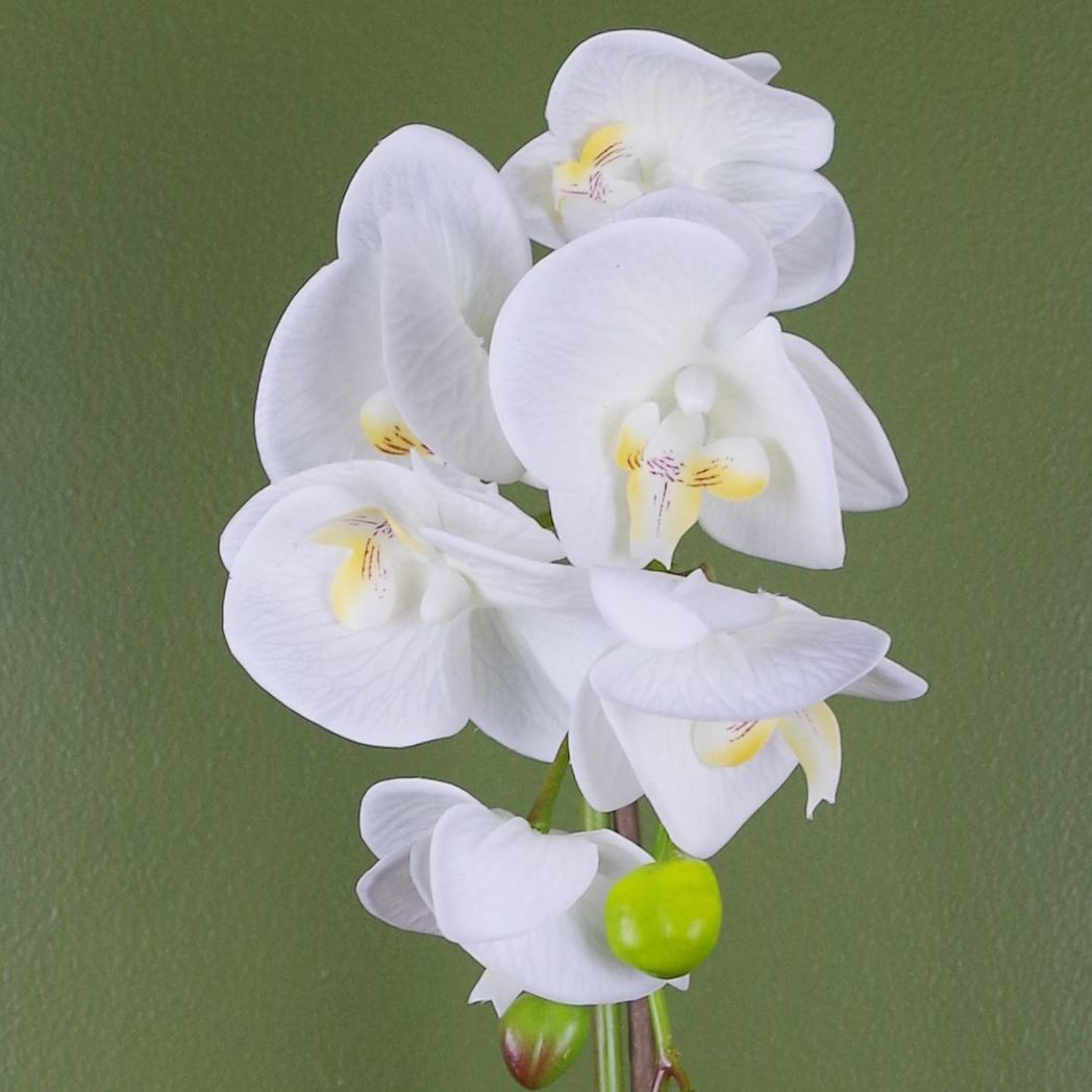 Leaf 46cm Artificial White and Gold Orchid in Decorative Pot