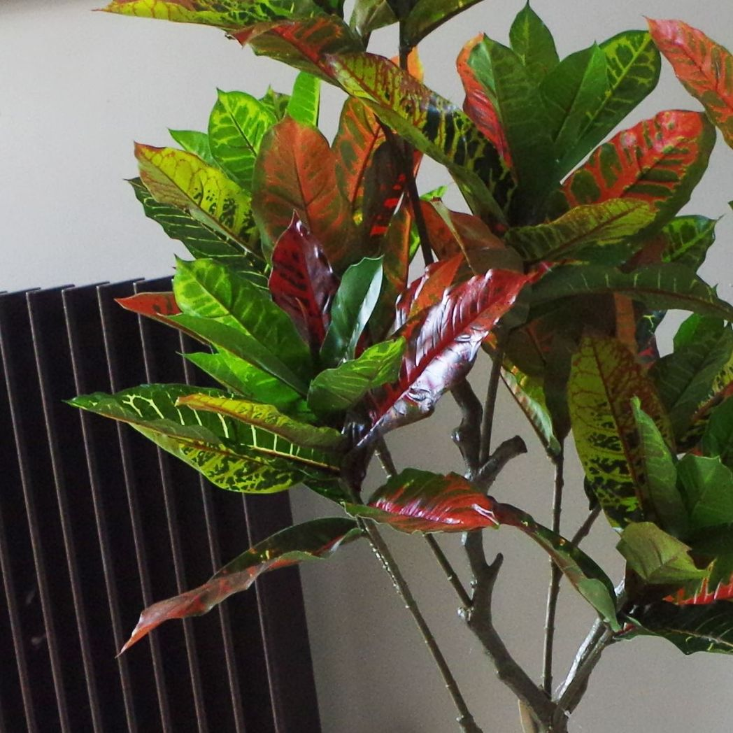 130cm Artificial Codiaeum Variegatum Tree in Plastic Pot