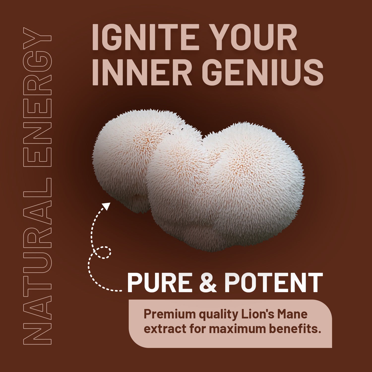 Prowise Healthcare Lion’s Mane Mushroom Supplement 4000mg, 15:1 Extract with Vitamin B1, B6, B12 & Black Pepper