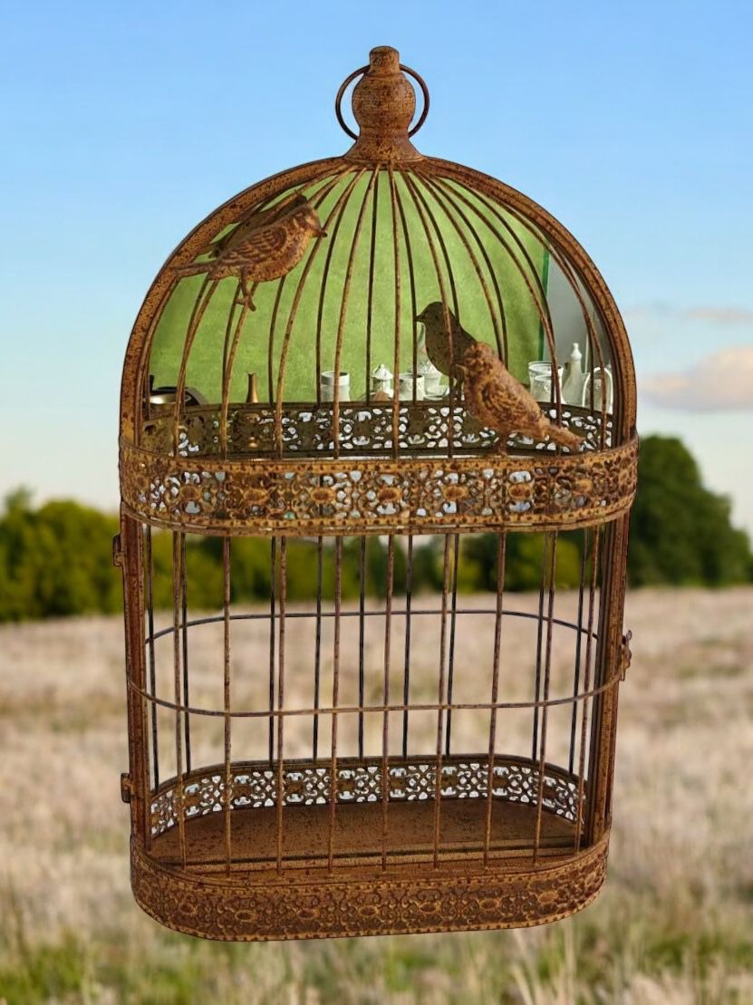 MSL 60cm Rusty Wall Mirror Metal Cage Decorative Garden Accessory