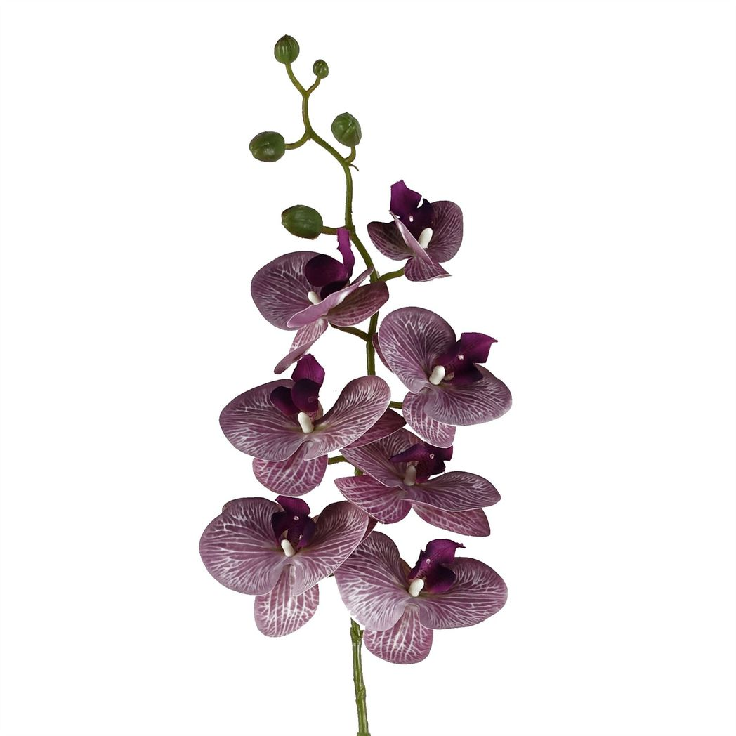 Leaf Pack of 6 Purple Phalaenopsis Orchid Artificial Flower Stems, 100cm Tall, 42 Flowers