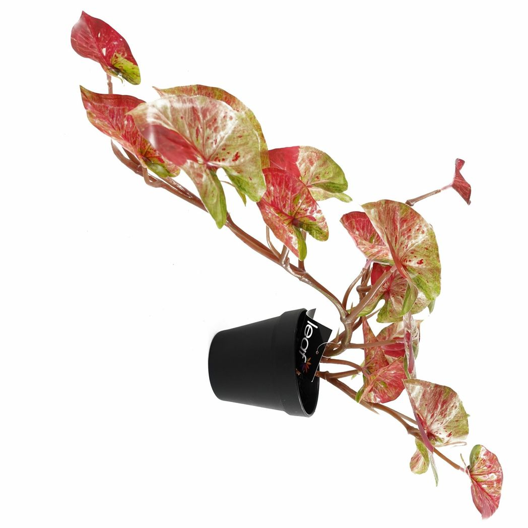 Leaf Artificial Trailing Hanging Alocasia Plant in Black Pot 35cm