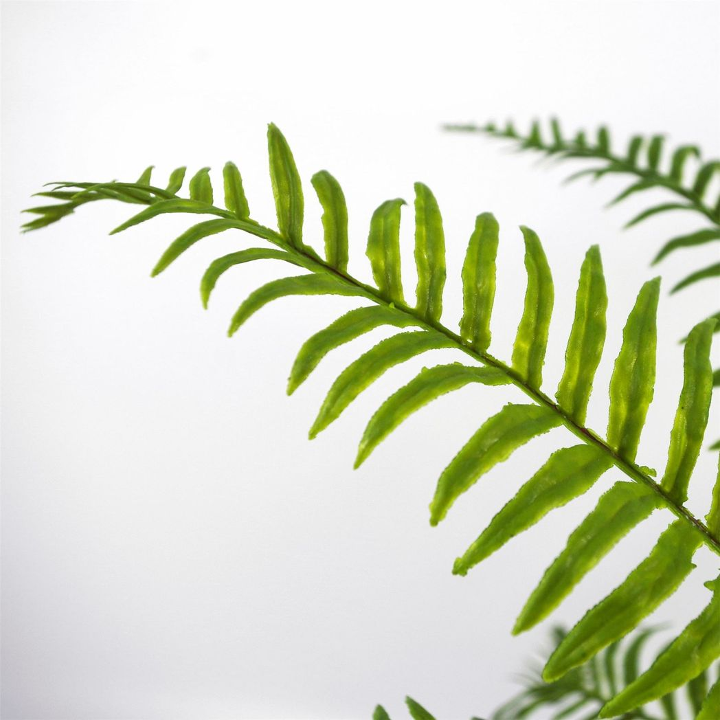 Leaf 50cm Artificial Boston Fronded Fern Plant, Bare Stem, Unpotted