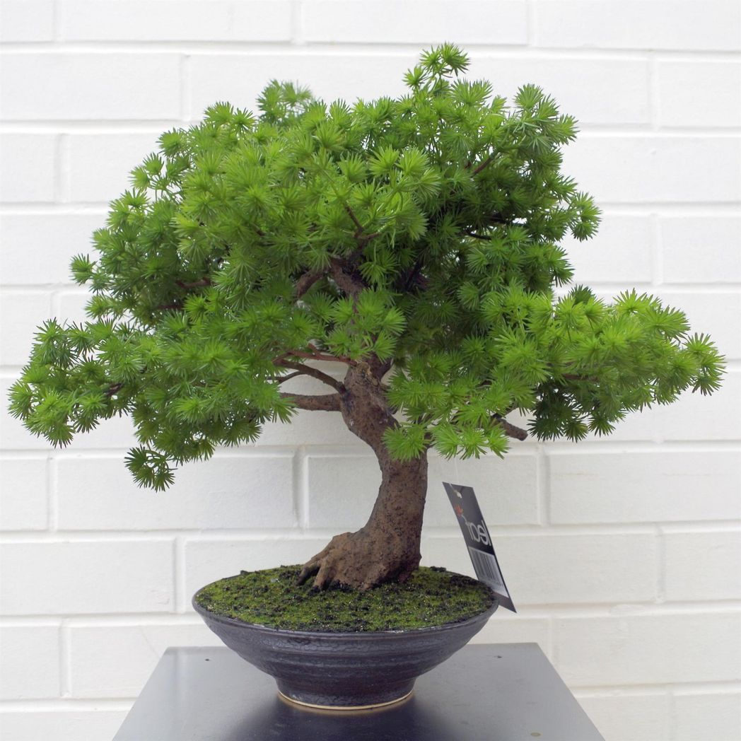 Leaf 50cm Artificial Luxury Pine Bonsai Tree in Ceramic Pot
