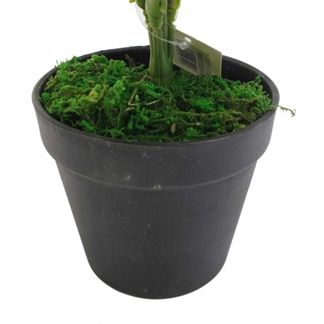 Leaf 50cm Artificial Evergreen Fern Plant with Wired Stems in Plastic Pot