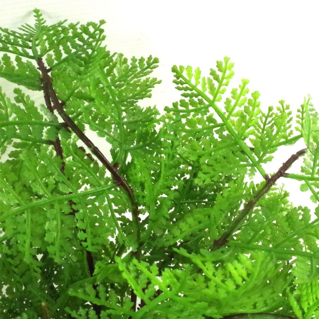 Leaf 30cm Realistic Artificial Potted Lady Fern (Athyrium Filix-Femina) in Weighted Plastic Pot