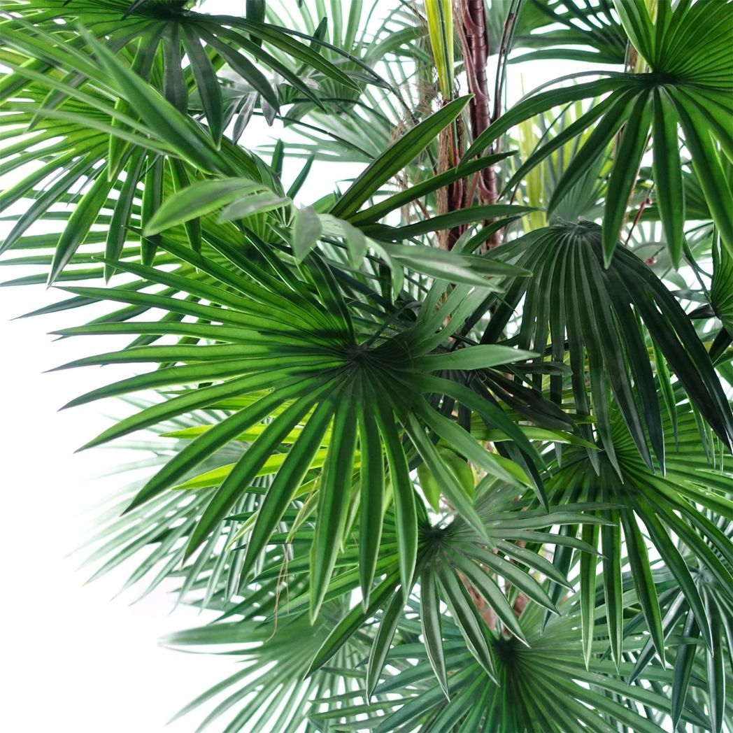 Leaf 120cm Artificial Fan Palm Tree in Weighted Black Pot