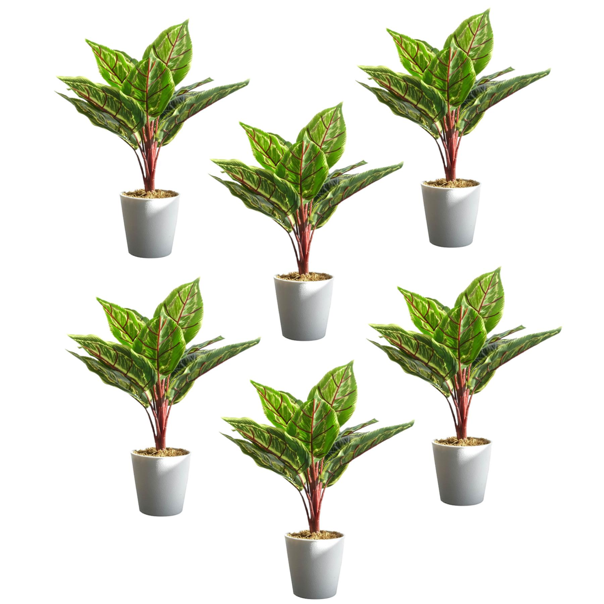 Leaf 38cm Artificial Potted Calathea Veitchiane Plant