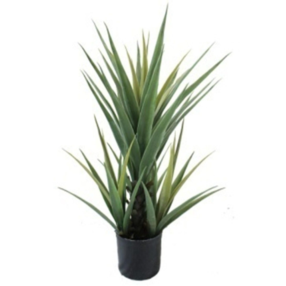 Leaf 70cm Artificial Yucca Plant in Black Plastic Pot