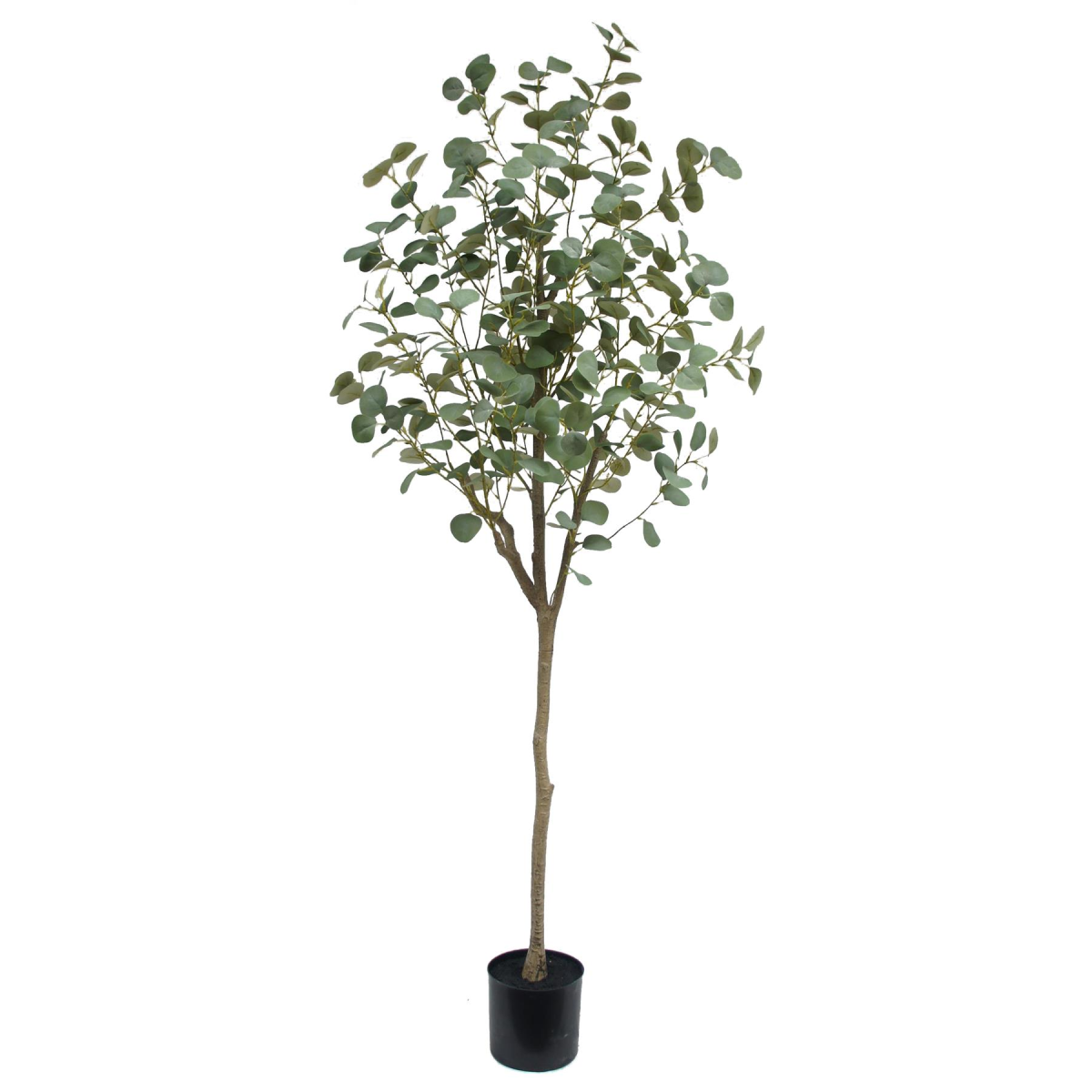 Leaf 180cm Realistic Artificial Eucalyptus Tree in Black Pot