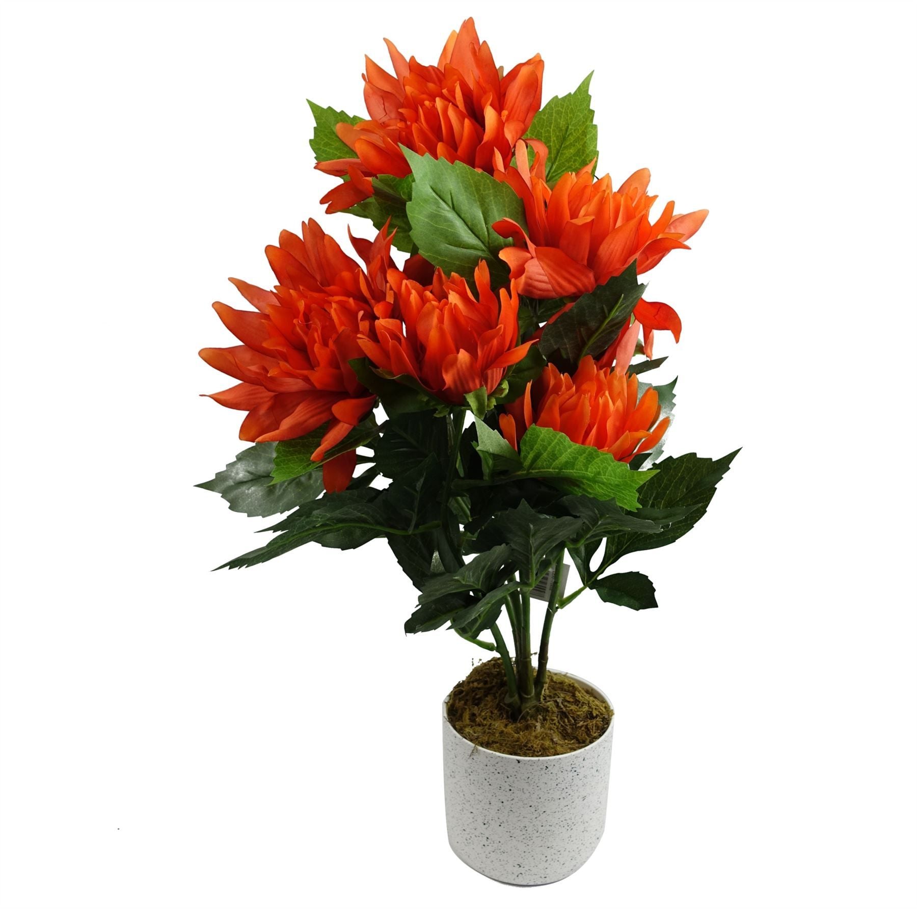 Leaf 55cm Artificial Red Dahlia Pinnata in Decorative Pot