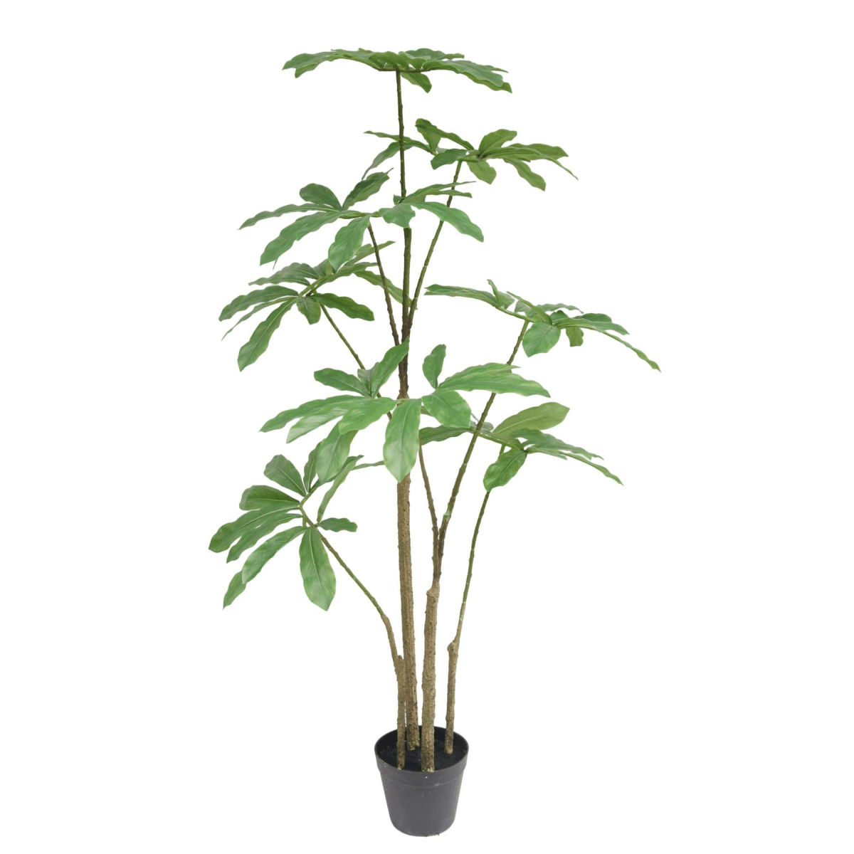 120cm Realistic Artificial Dwarf Umbrella Tree in Black Plastic Pot
