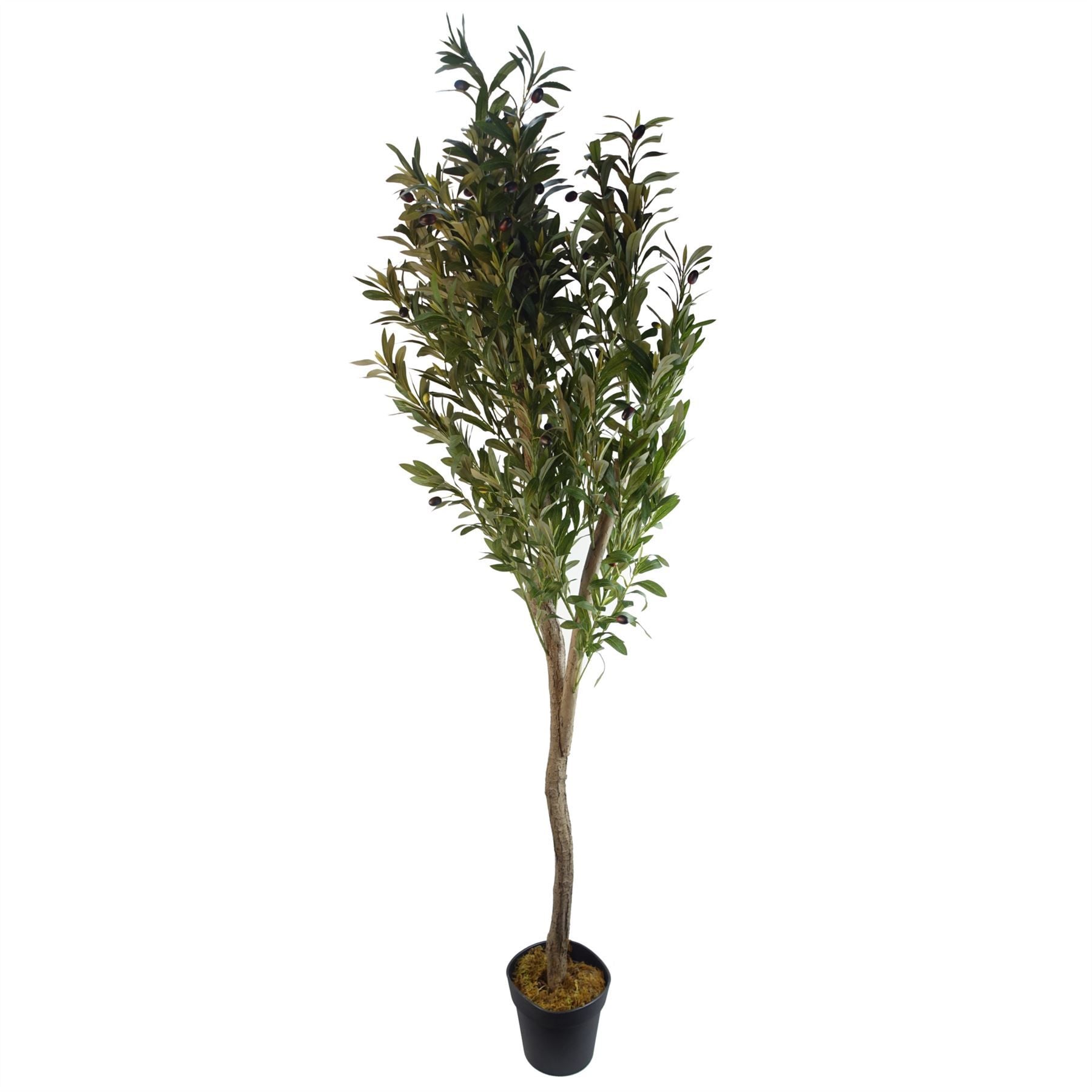 Leaf 150cm Artificial Natural Look Olive Tree with Natural Trunk and Silk Foliage, Fully Potted