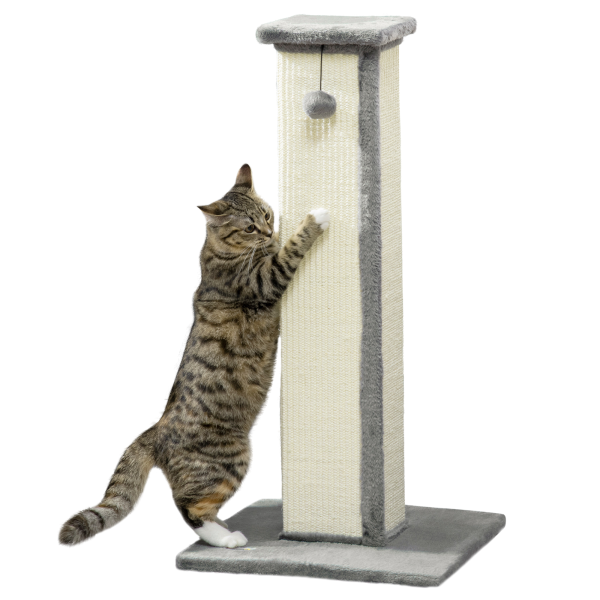 81cm Cat Scratching Post with Natural Sisal Rope and Hanging Ball, Grey