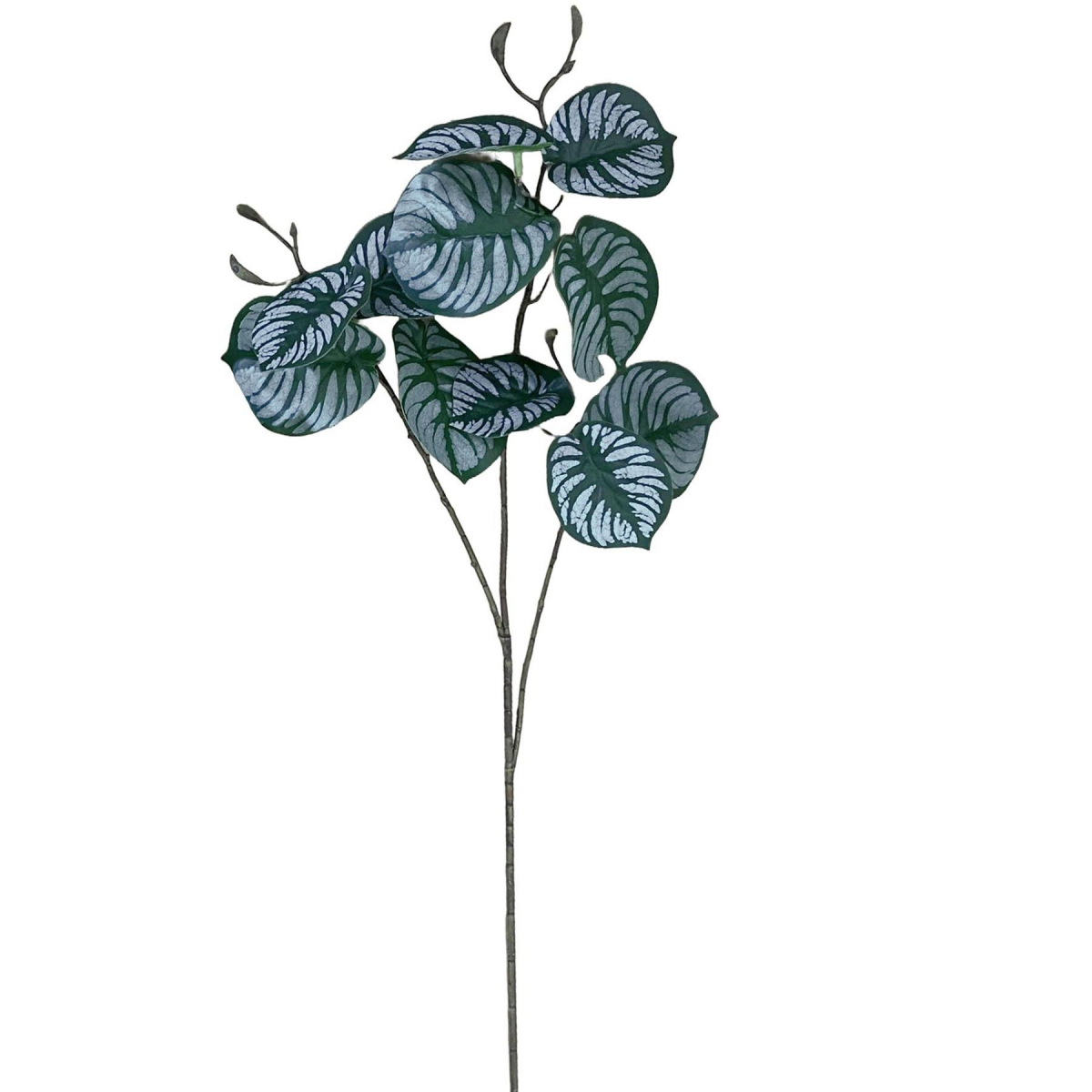 Leaf 70cm Artificial Zebra Foliage Wired Stem