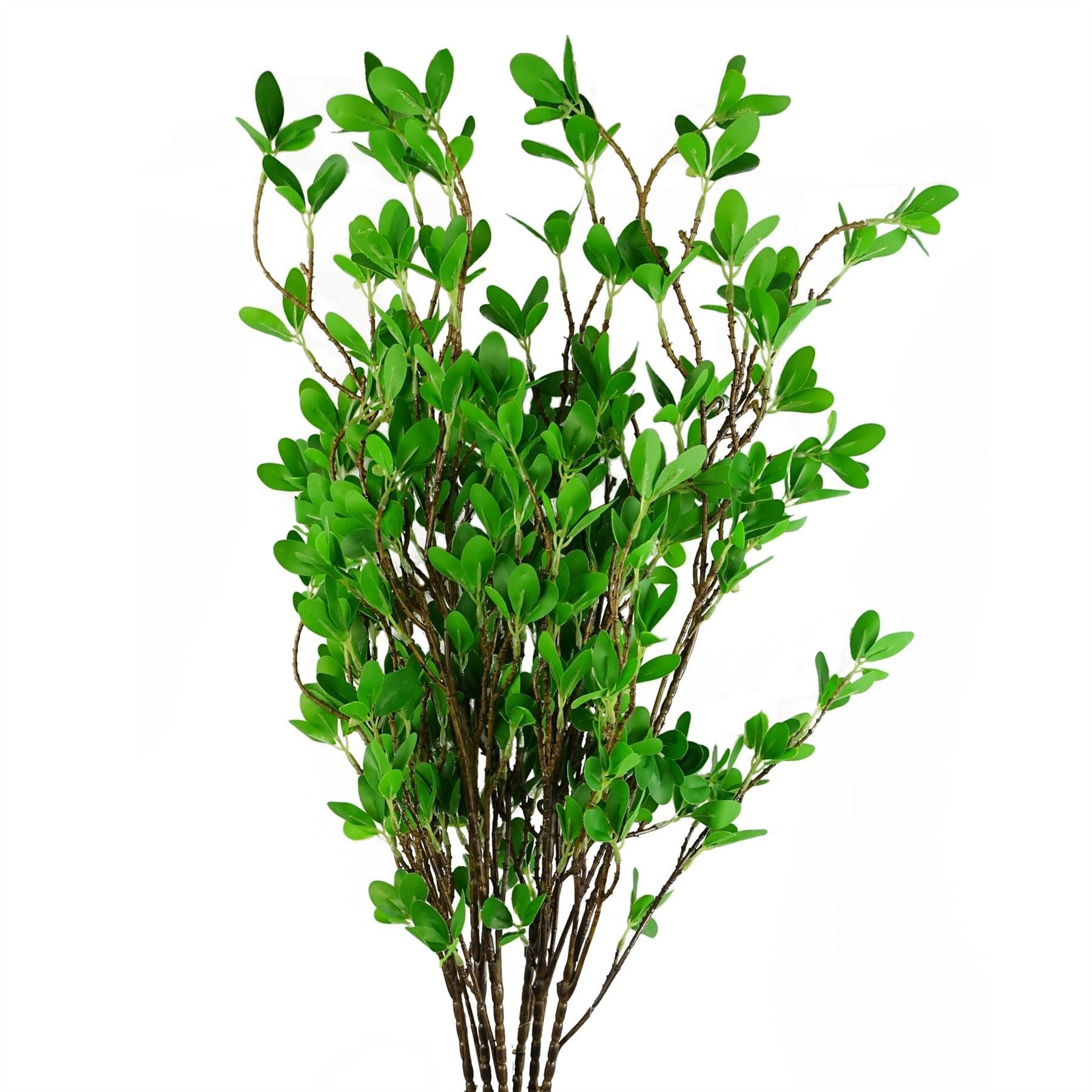 Leaf Pack of 6 100cm Mini Leaf Ficus Stems