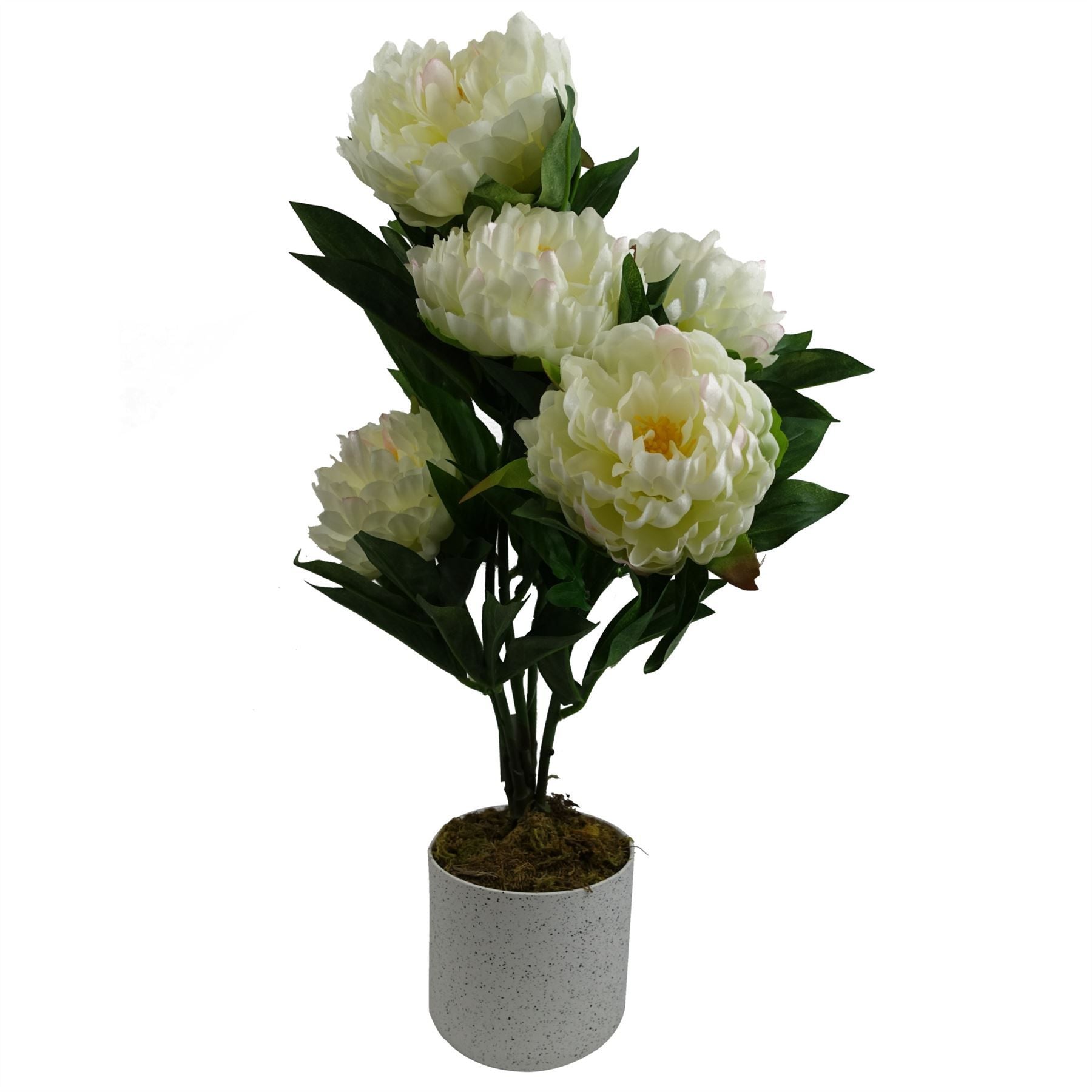 55cm Artificial White Peony Plant in Decorative Plastic Weighted Pot