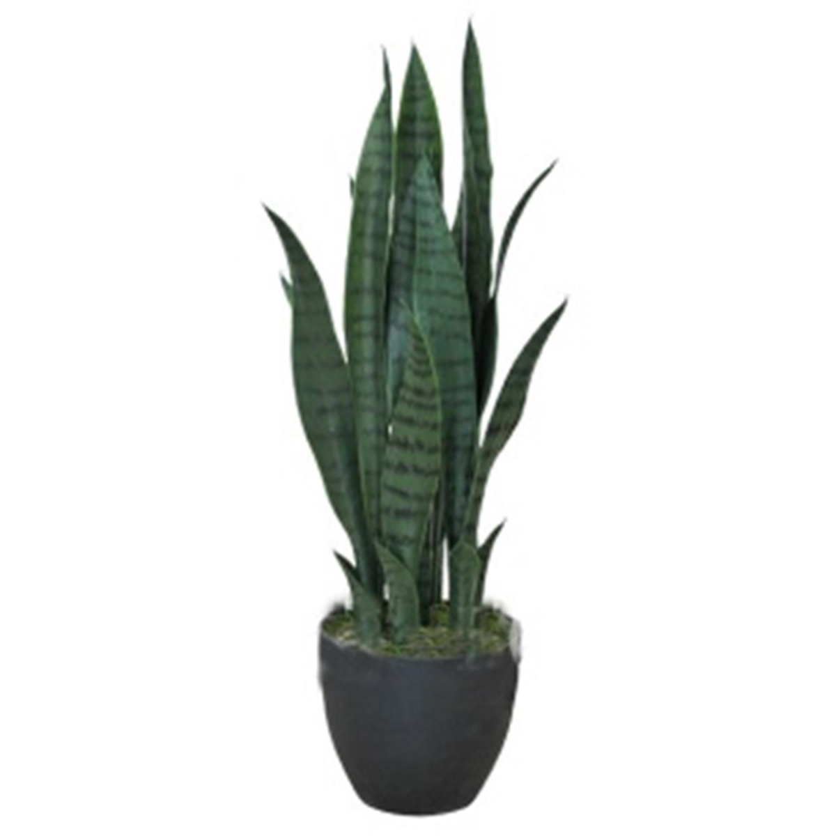 Leaf 70cm Artificial Dark Green Sansevieria in Black Plastic Pot