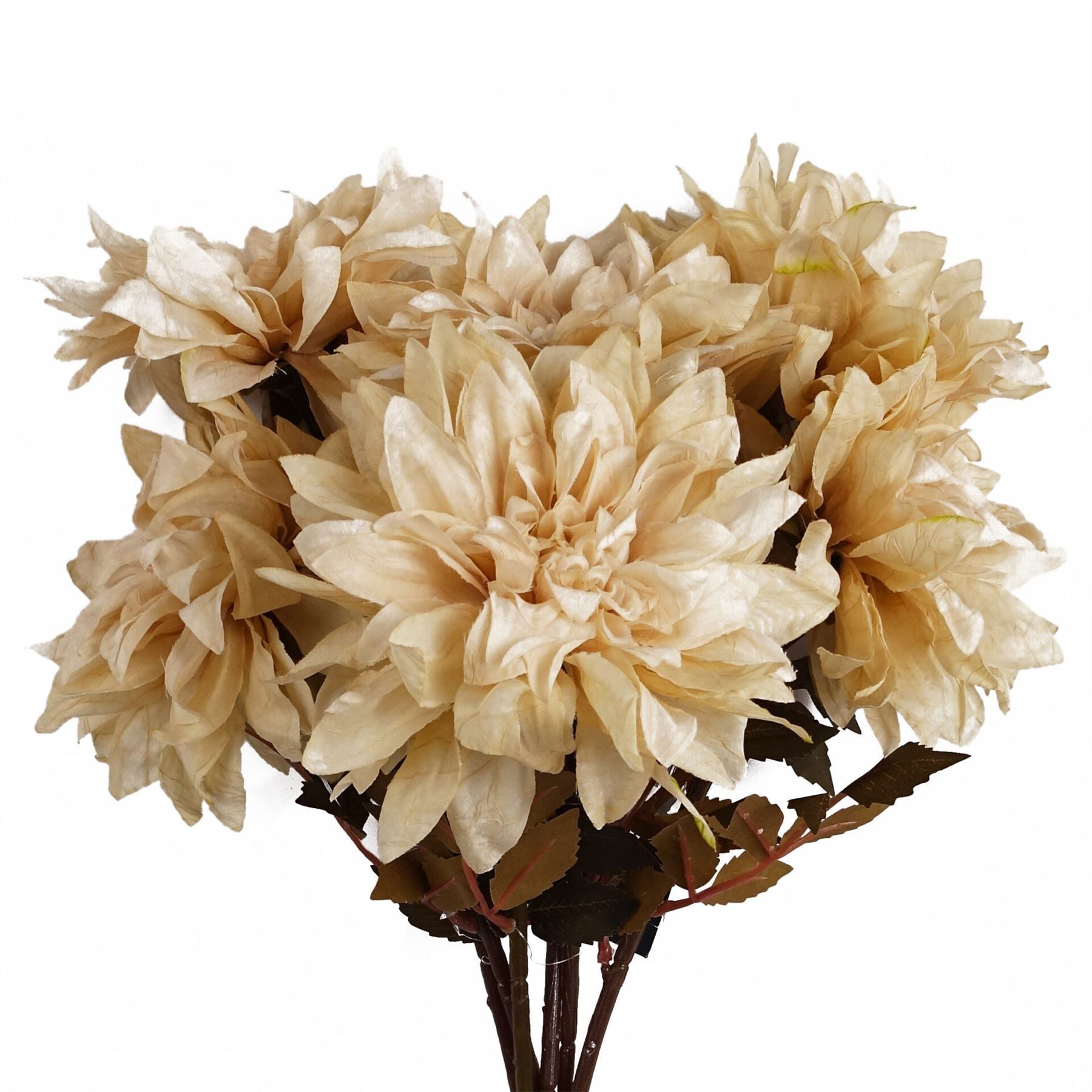 Leaf Pack of 6 Dusty Cream Dahlia Flower Stems 55cm