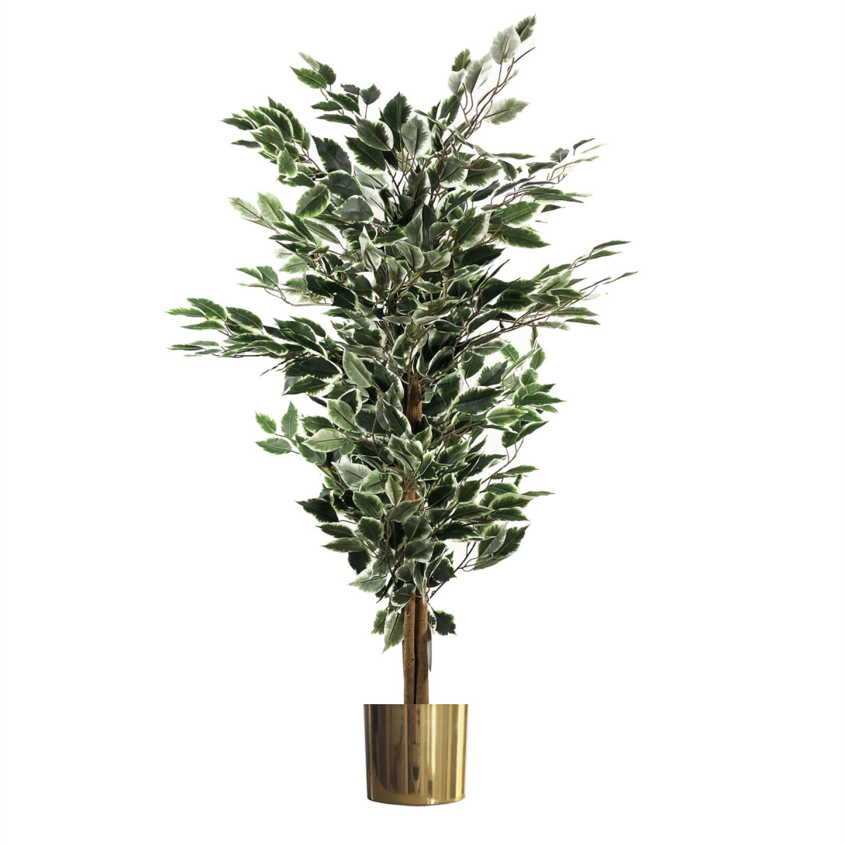 Leaf 130cm Variegated White and Green Bushy Artificial Ficus Tree with Gold Metal Planter