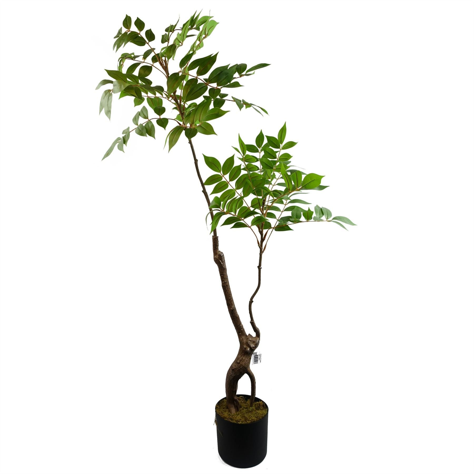 110cm Artificial Toona Sinensis Evergreen Tree in Pot