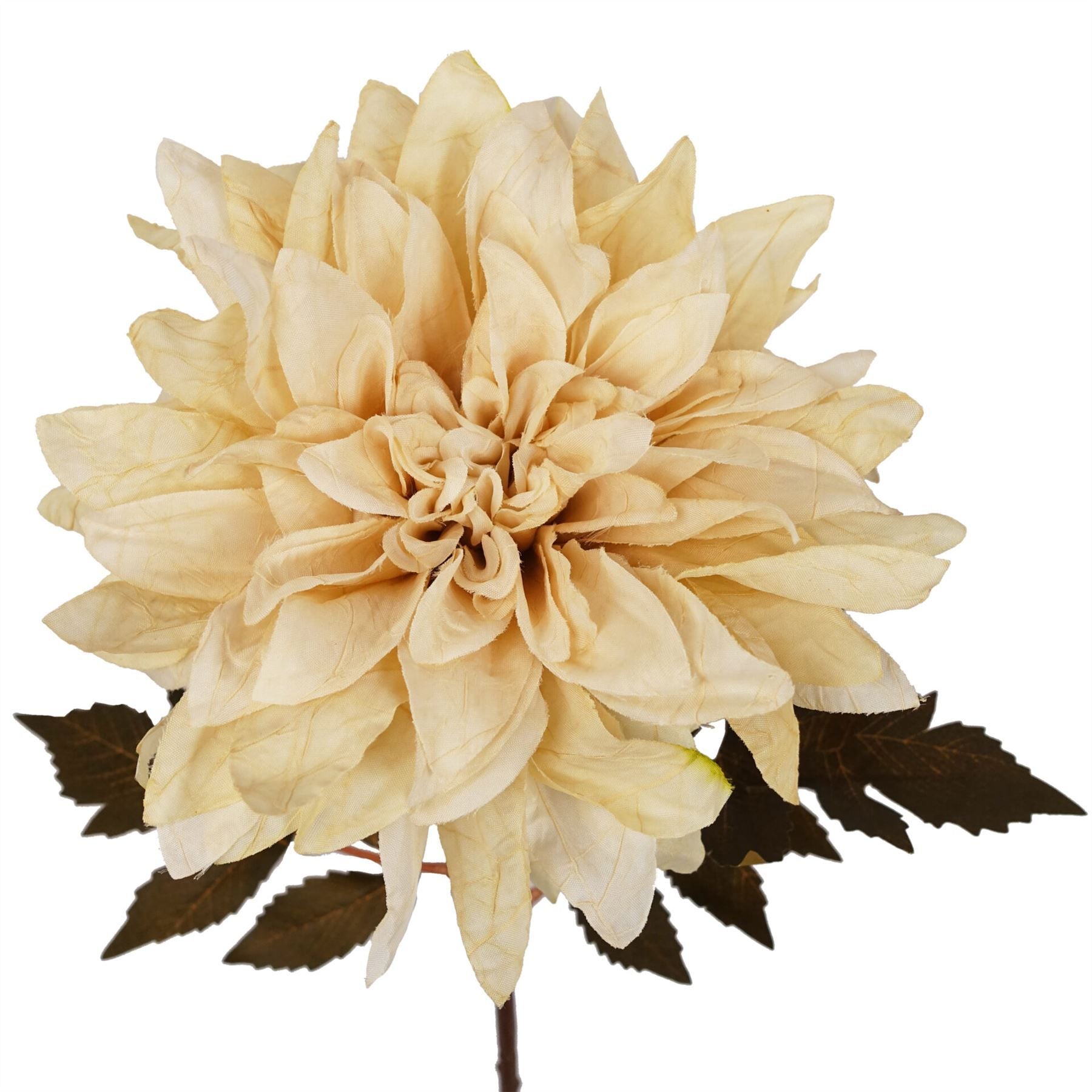 Leaf 55cm Dusty Cream Dahlia Flower Stem