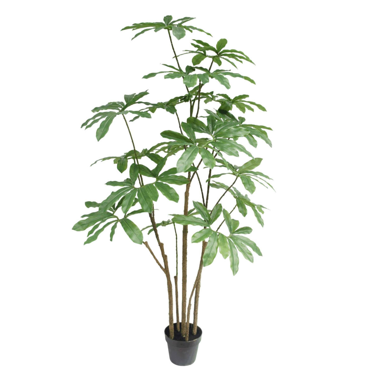 Leaf 150cm Dwarf Umbrella Realistic Artificial Schefflera Tree in Black Pot