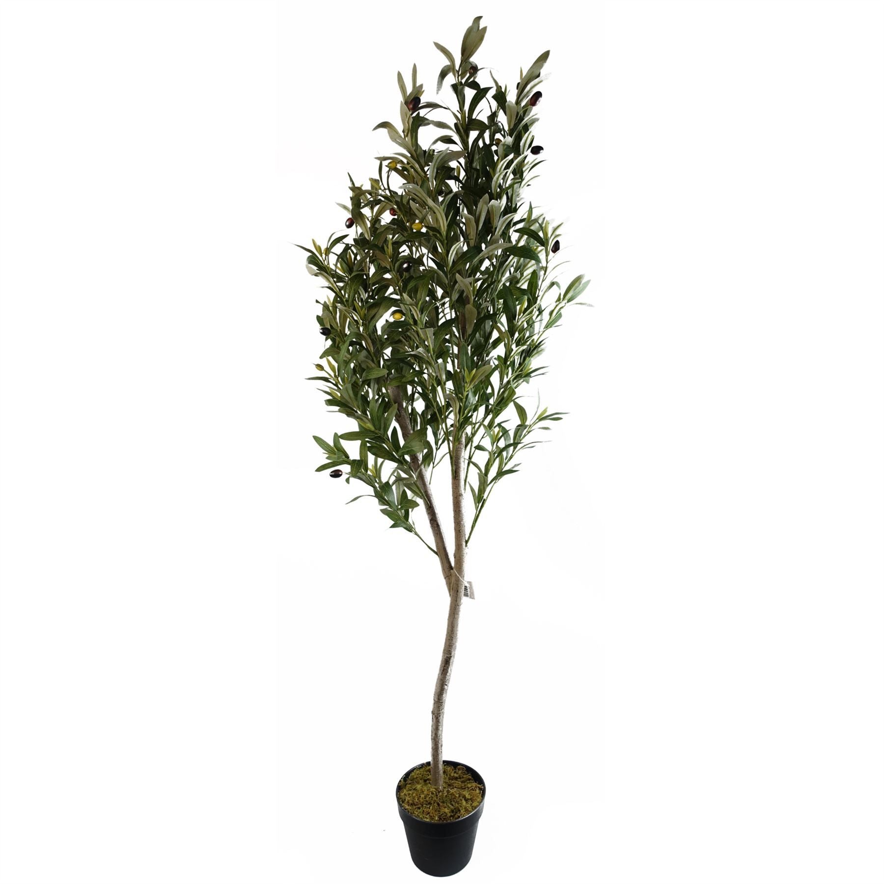 Leaf 180cm Artificial Olive Tree with Natural Trunk and Silk Foliage, Fully Potted