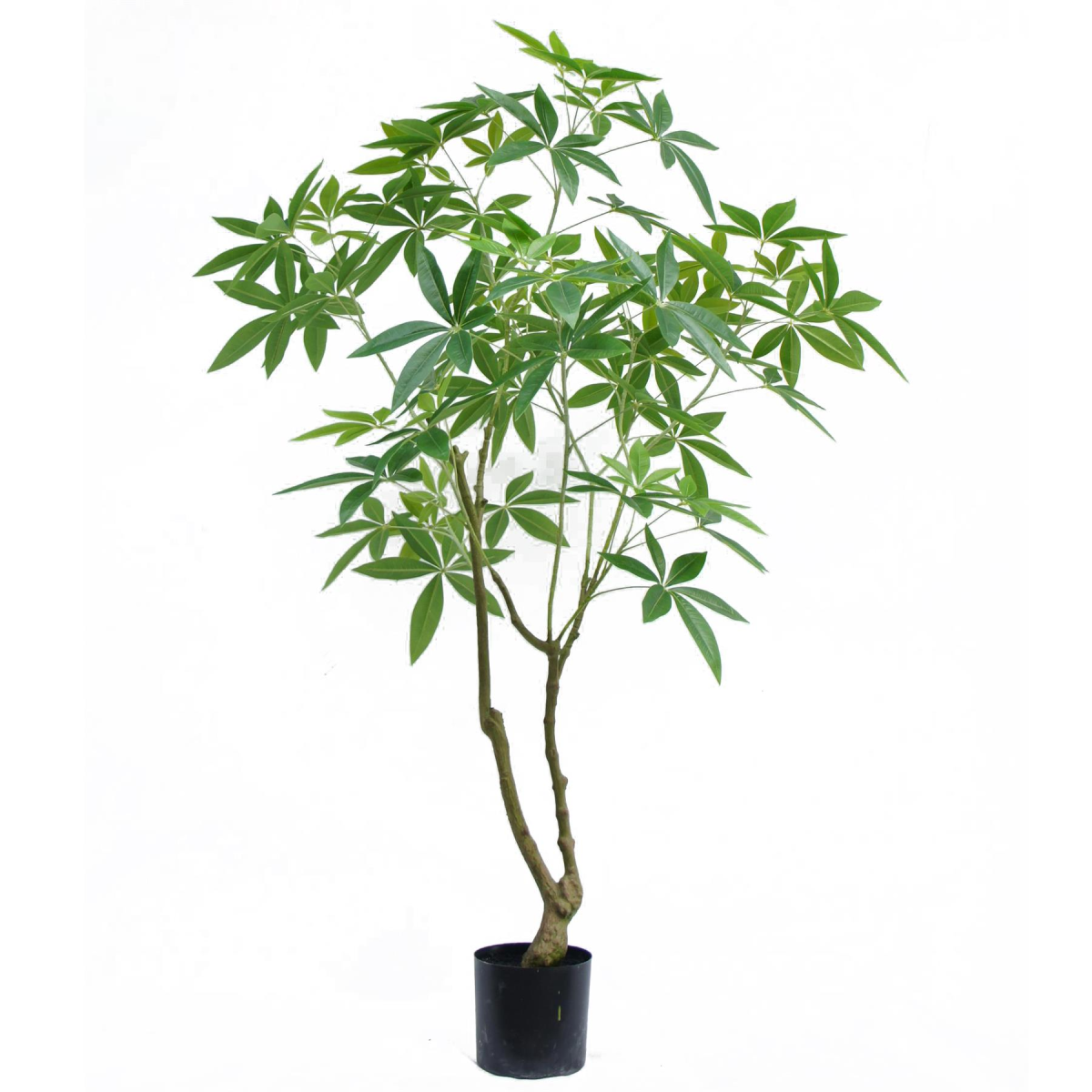 150cm Artificial Pachira Money Tree Realistic Faux Tree in Black Plastic Pot