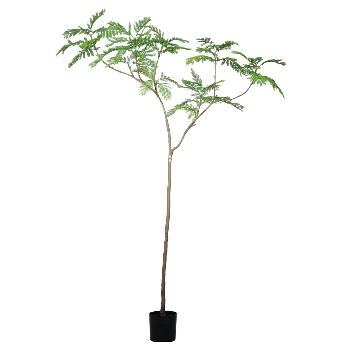 240cm Artificial Jacaranda Tree Realistic Indoor Potted Tree
