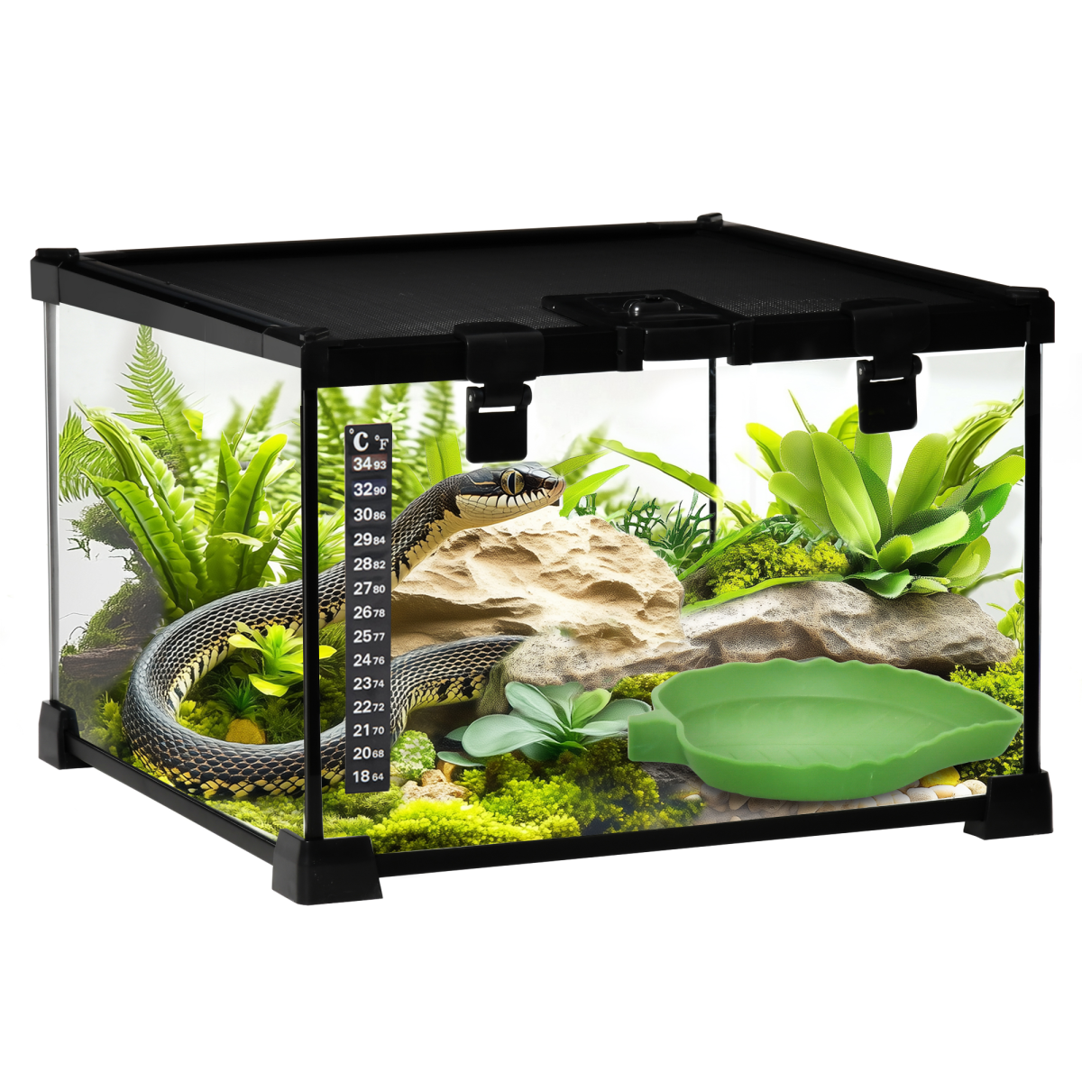 Reptile Glass Terrarium Habitat with Mesh Top, Leakproof Base and Locking Doors for Lizards, Frogs and Snakes