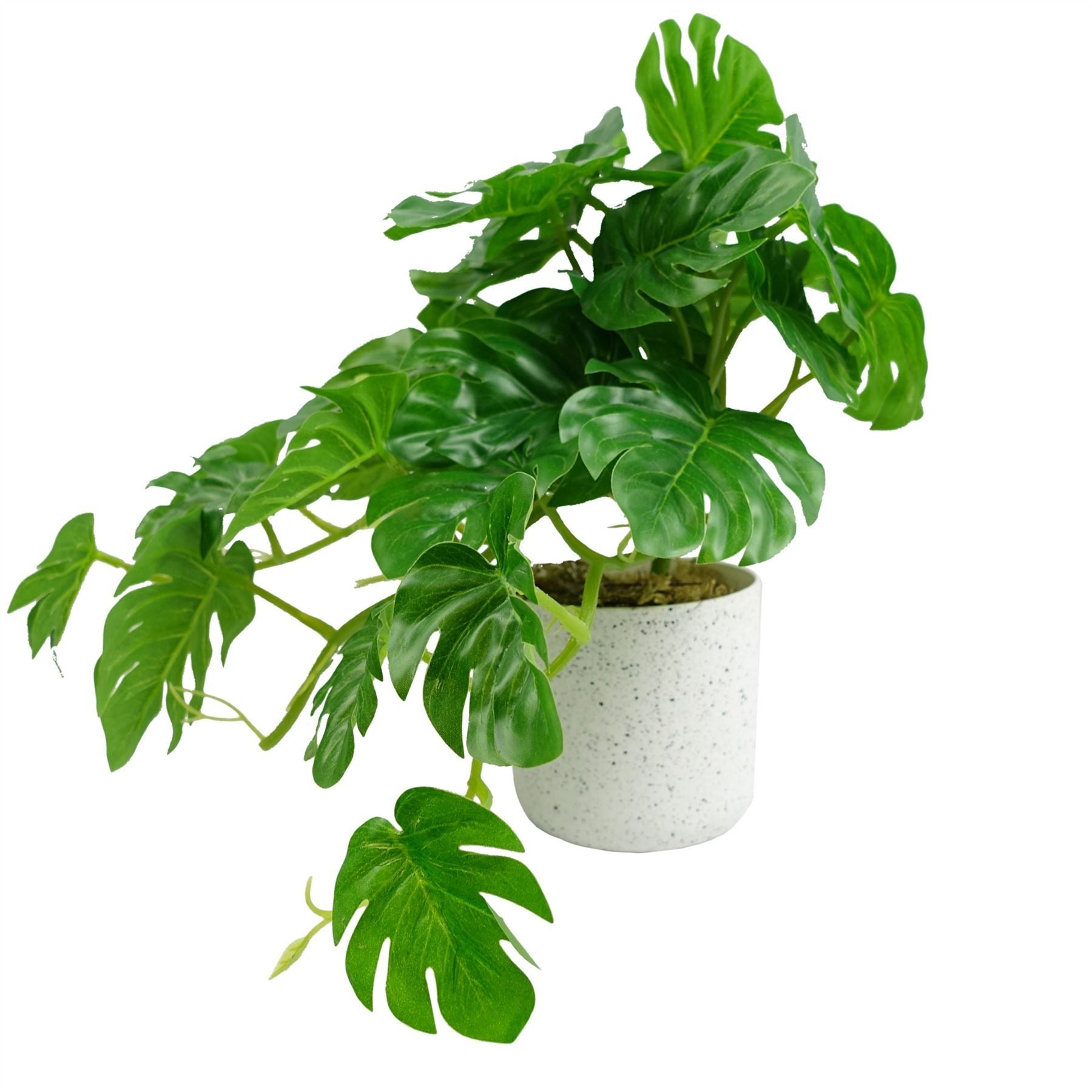 Leaf 30cm Artificial Green Potted Monstera Trailing Plant in Decorative Weighted Pot