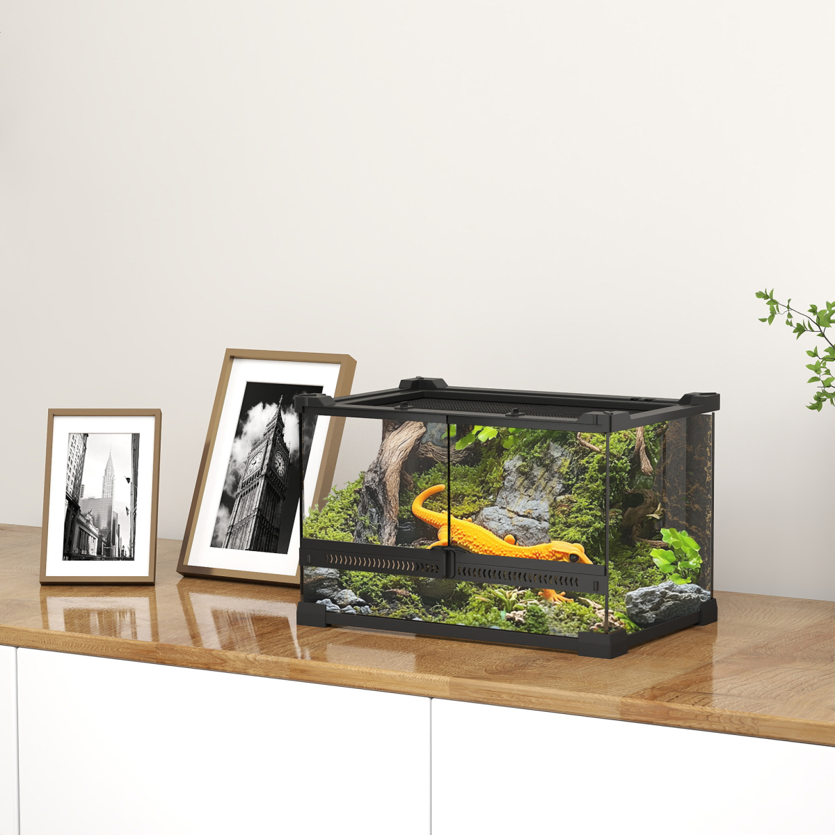 Reptile Glass Terrace