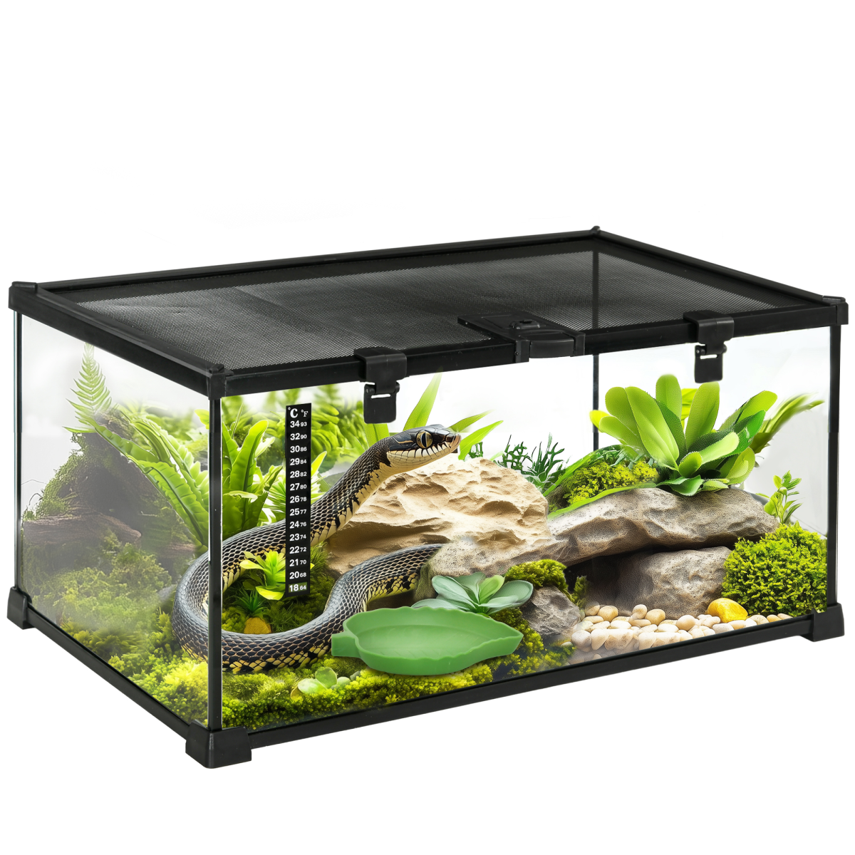 Pawhut Glass Reptile Terrarium Habitat for Lizards, Frogs and Snakes
