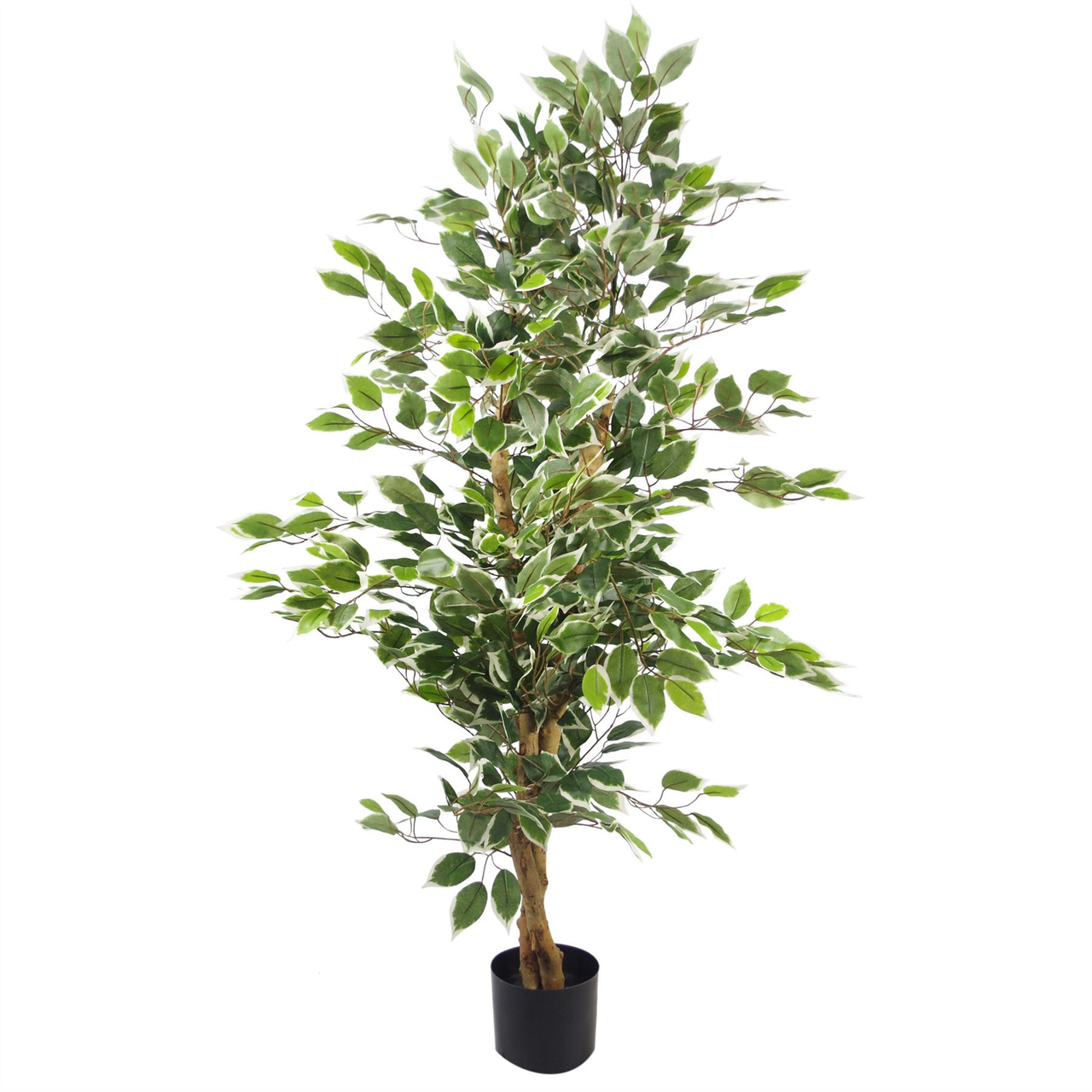 Artificial 130cm Variegated Green and White Bushy Ficus Tree in Pot