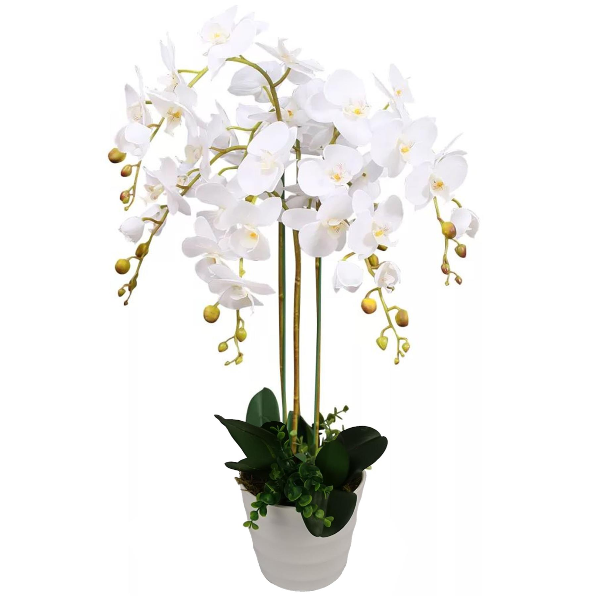 Leaf 85cm Artificial Deluxe Bush Orchid with Large White Flowers in White Pot