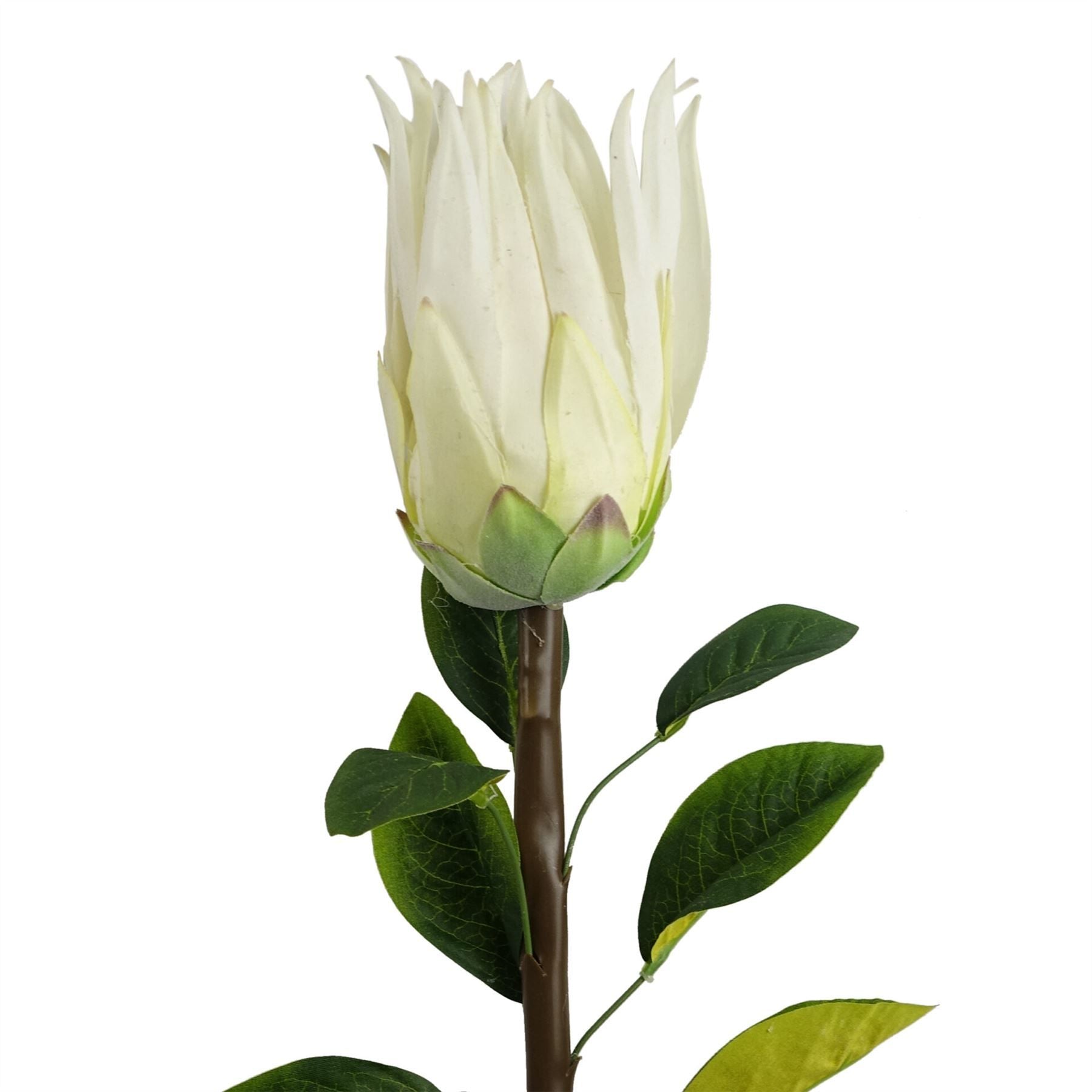 Leaf 65cm Artificial White Protea Sugarbush Flower Stem with Silk Petals and Leaves