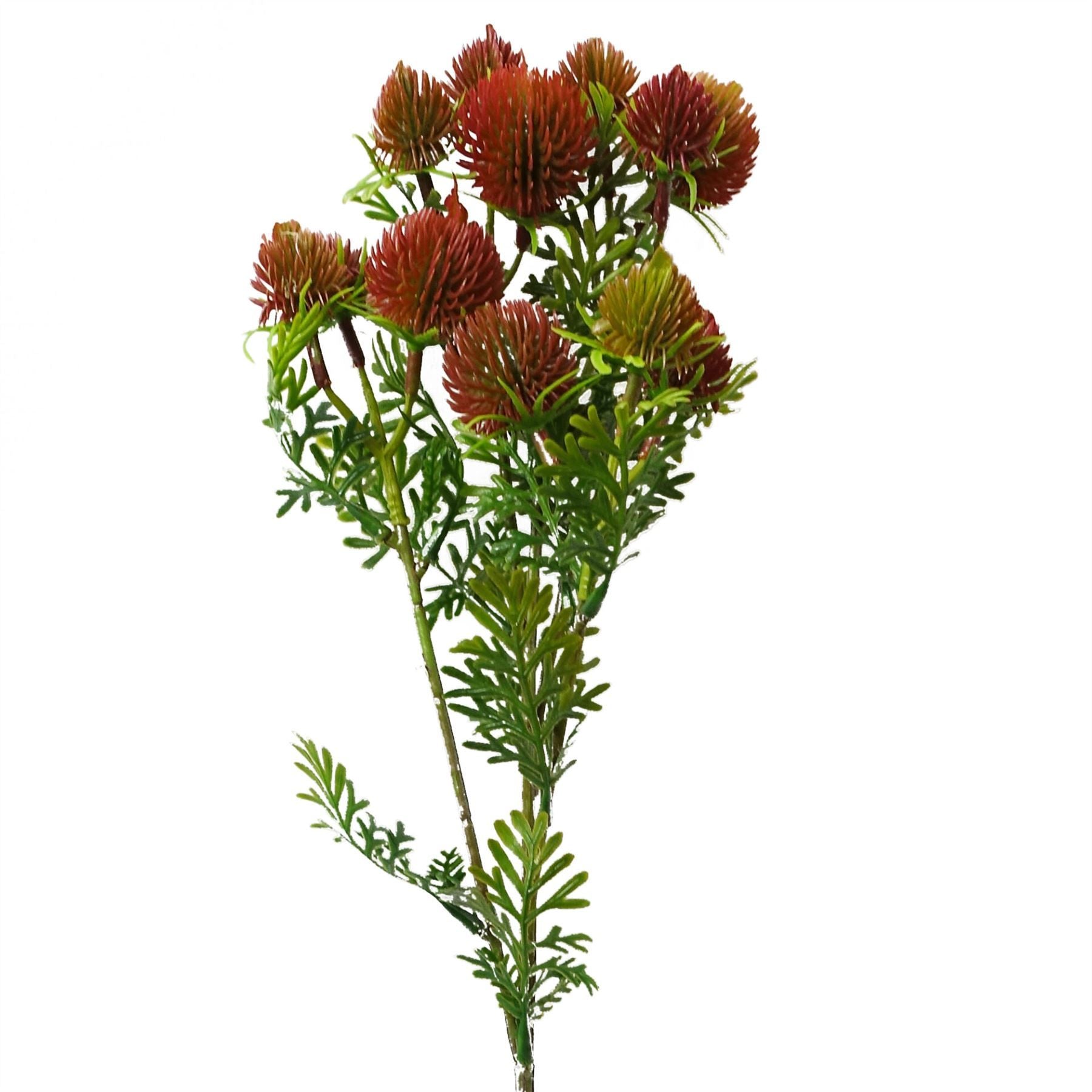 Leaf 55cm Red Artificial Craspedia Stem with Wired Shapable Stem and Silk Leaves