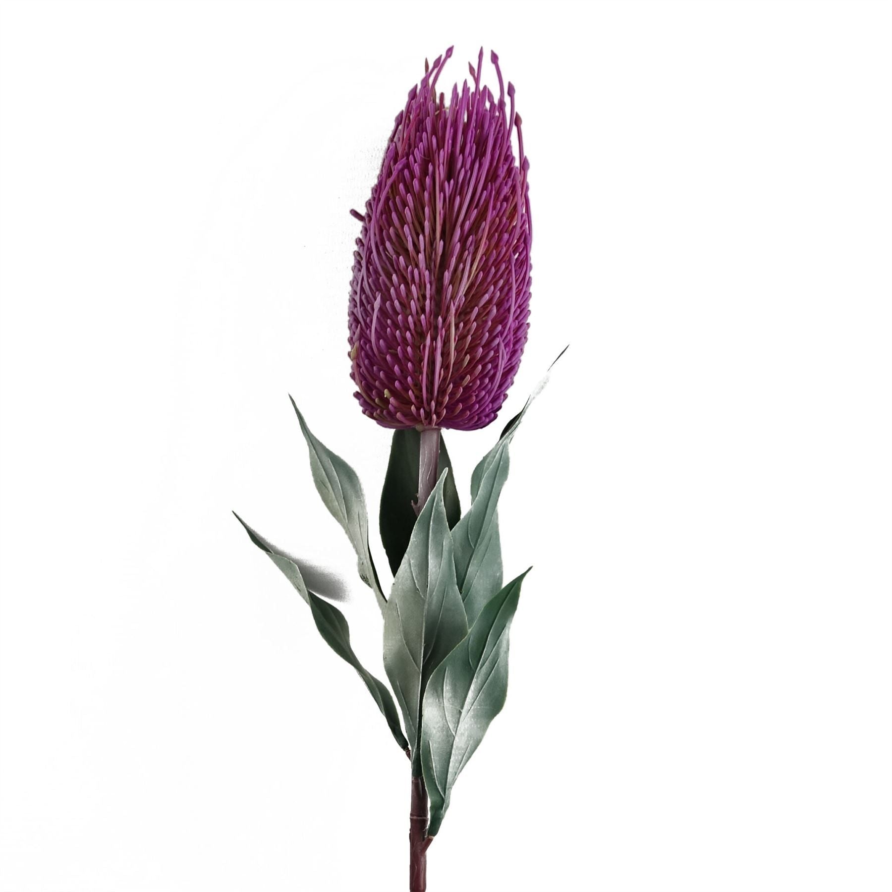 75cm Artificial Banksia Menziesii Pink Single Stem with Plastic Leaves