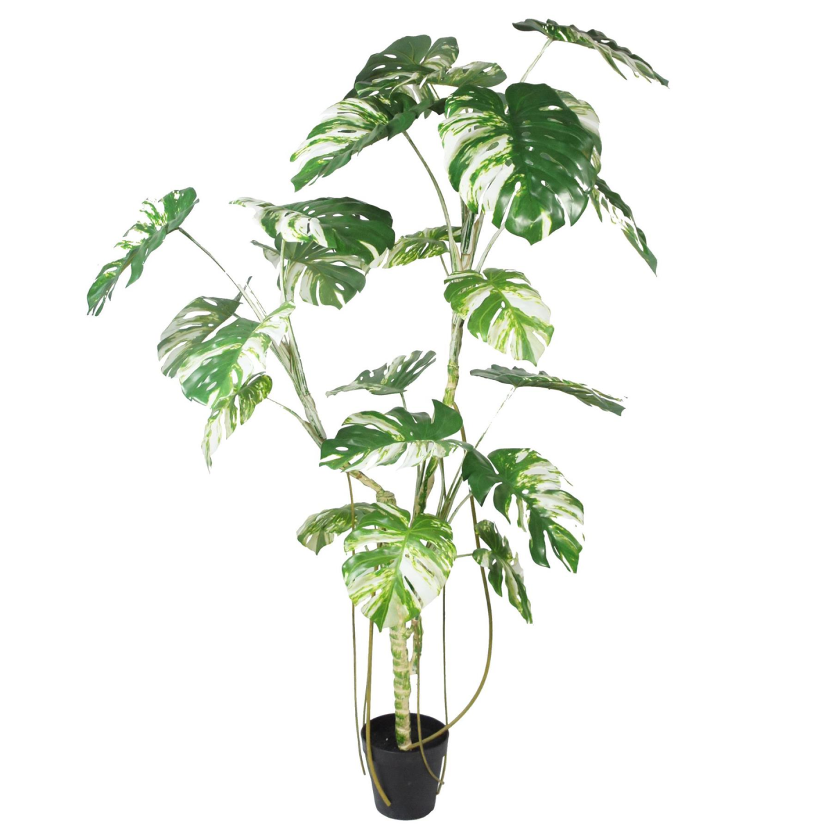 210cm Realistic Variegated Monstera Artificial Tree